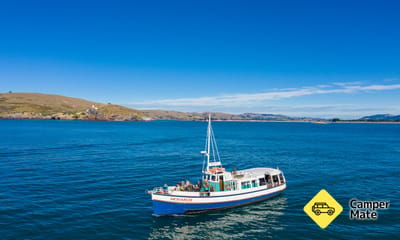 Otago Halvøen Wildlife Cruise