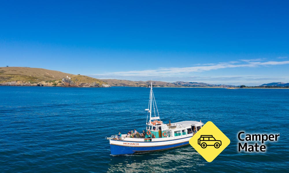 Ontdek de omgeving van Otago Peninsula Wildlife Cruise