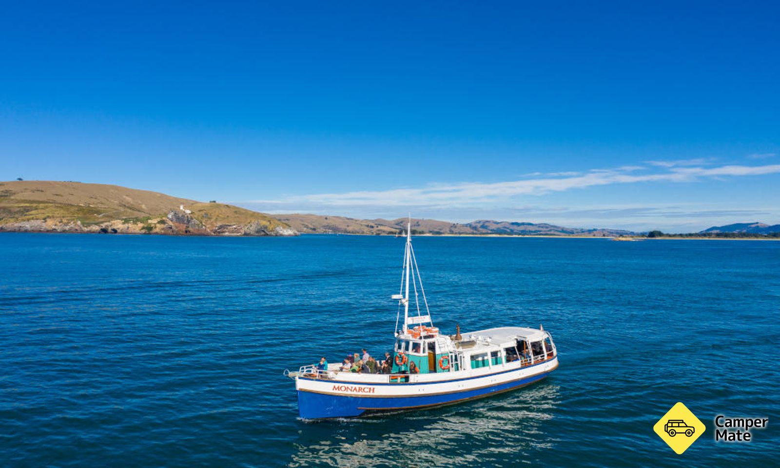 Otago Peninsula Wildlife Cruise