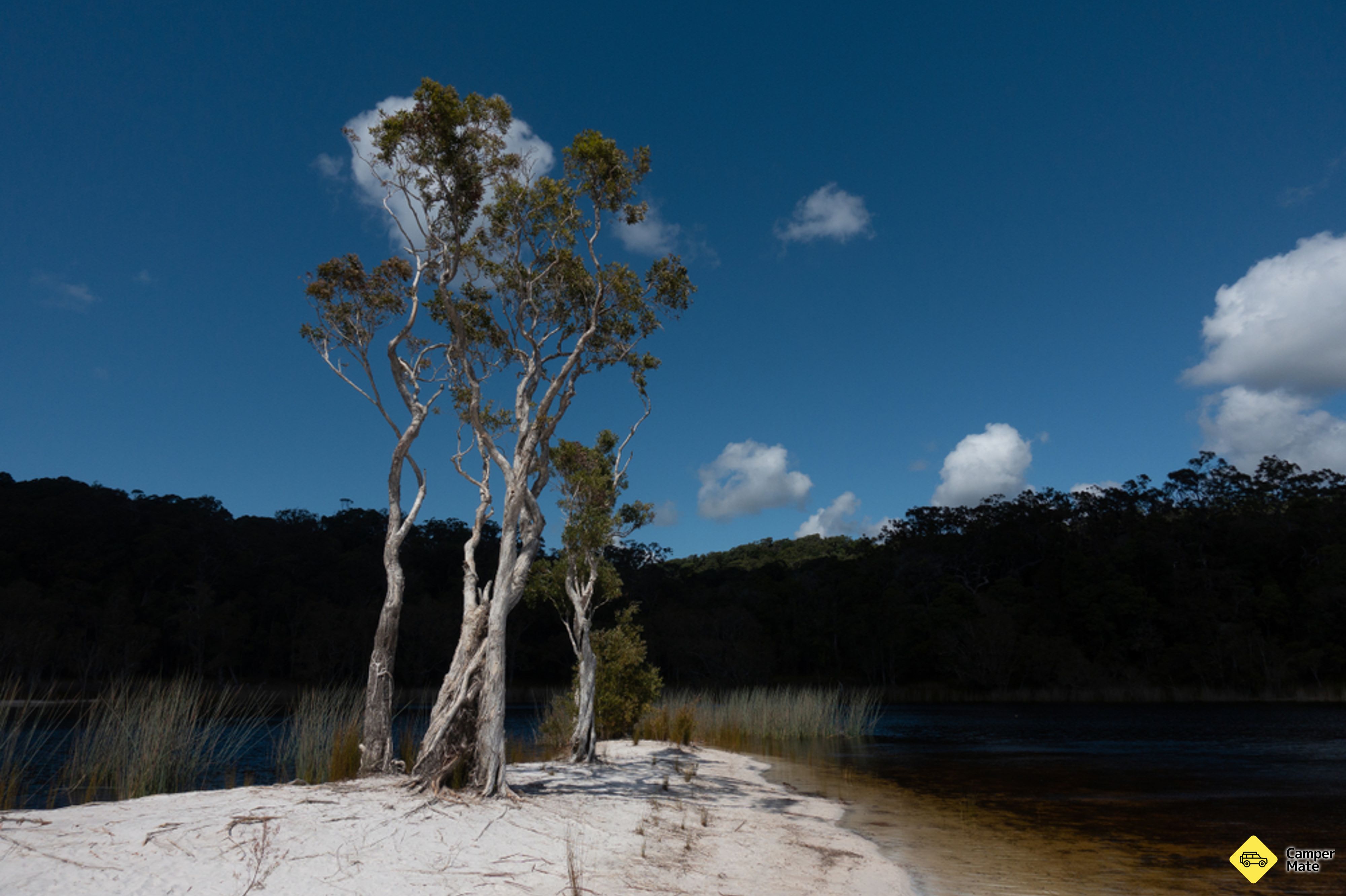 Cooloola Stor Walk - Image 3