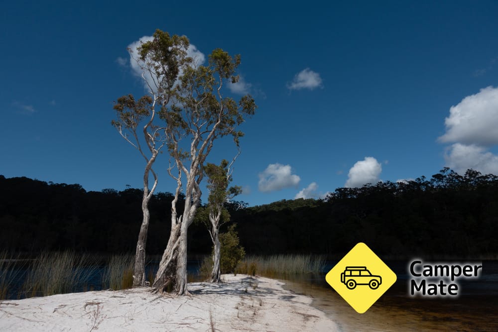 Cooloola Great Walk - Image 3