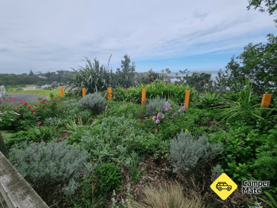 Opunake Clifftop Garden