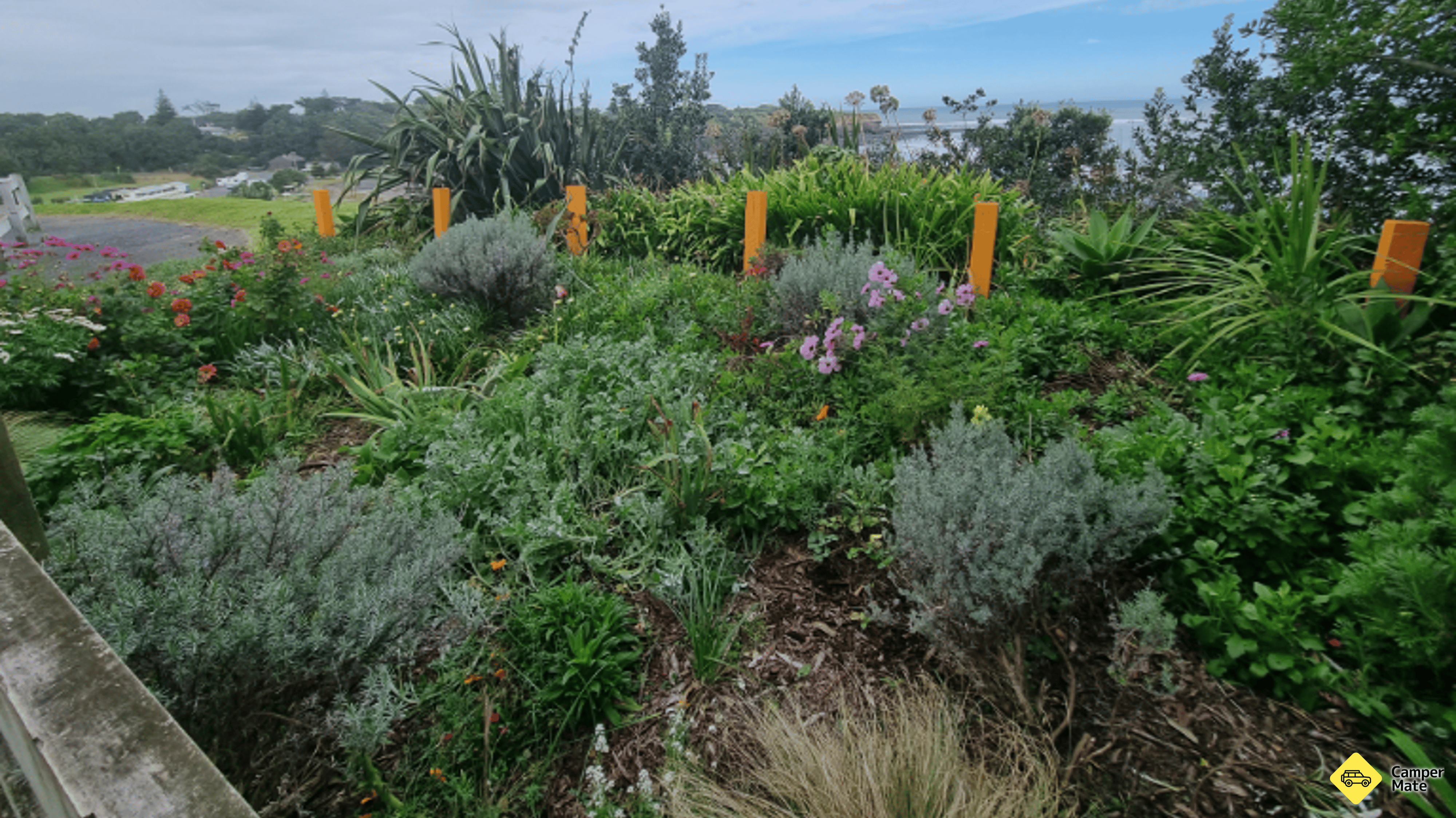 Tempat untuk menginap di Clifftop Garden