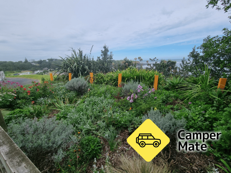 Opunake Clifftop Garden