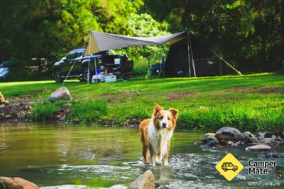 Estate Lodges Caravan & Camping