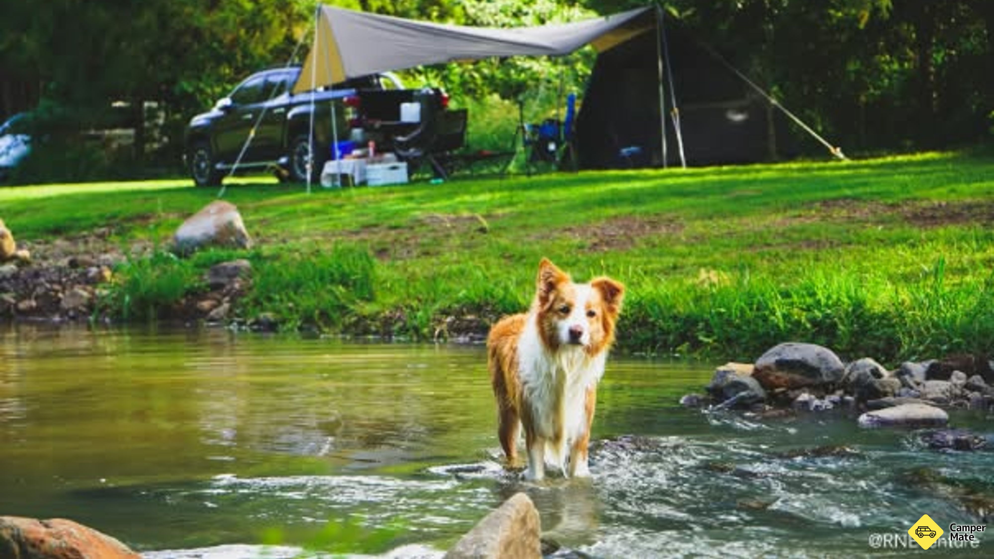 Majoitusta paikassa Estate Lodges Caravan & Camping