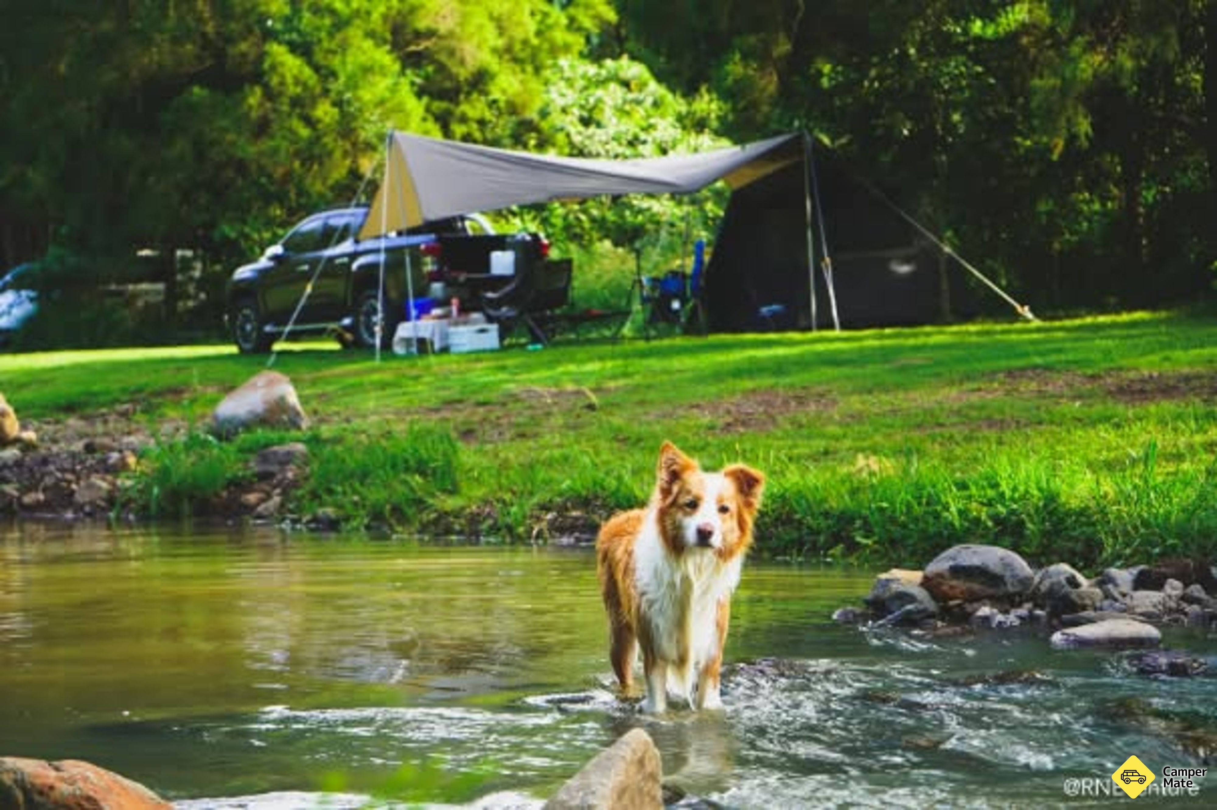 Majoitusta paikassa Estate Lodges Caravan & Camping