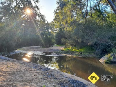 Reedy Creek Campground 