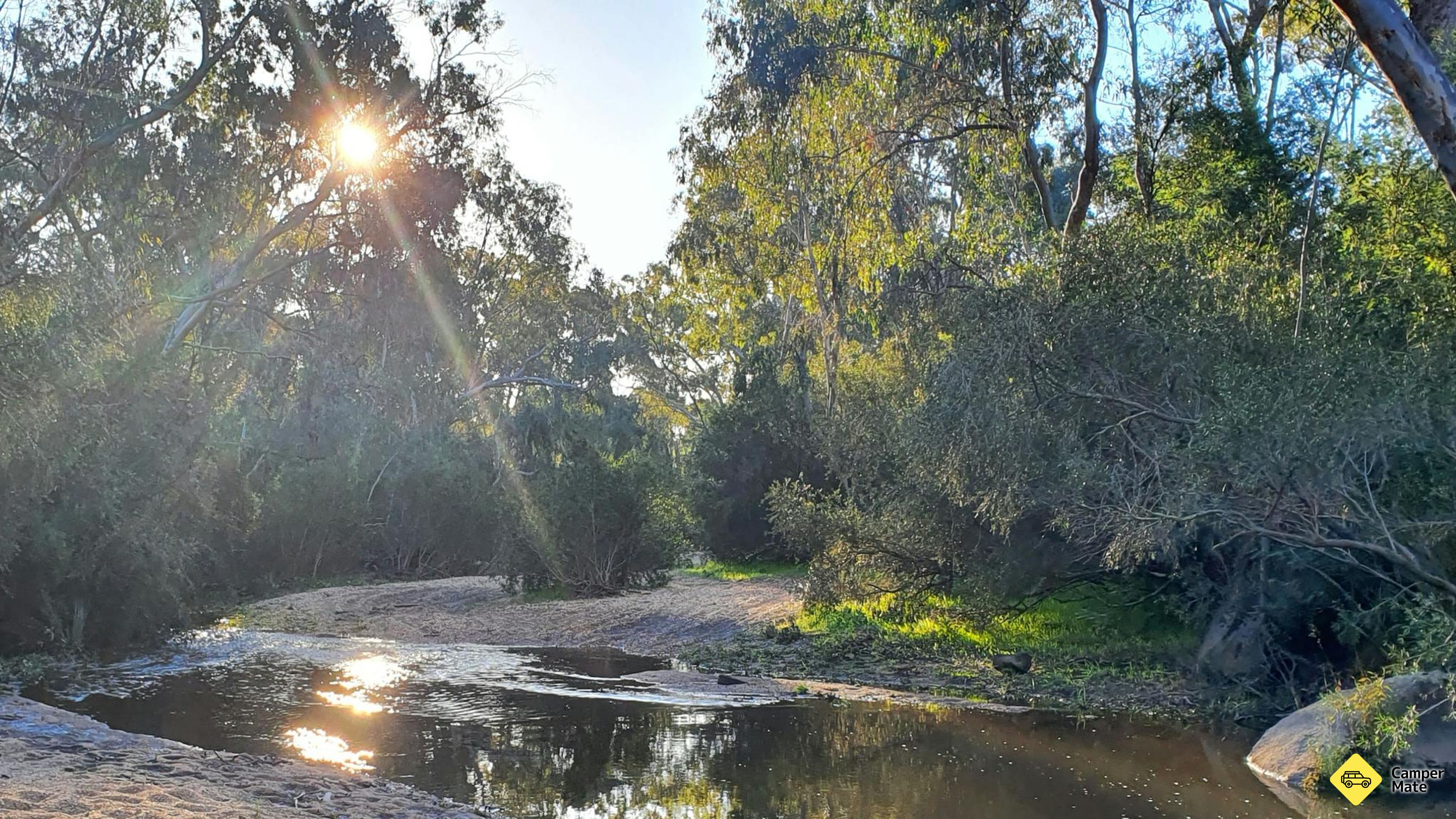 Reedy Creek Campground