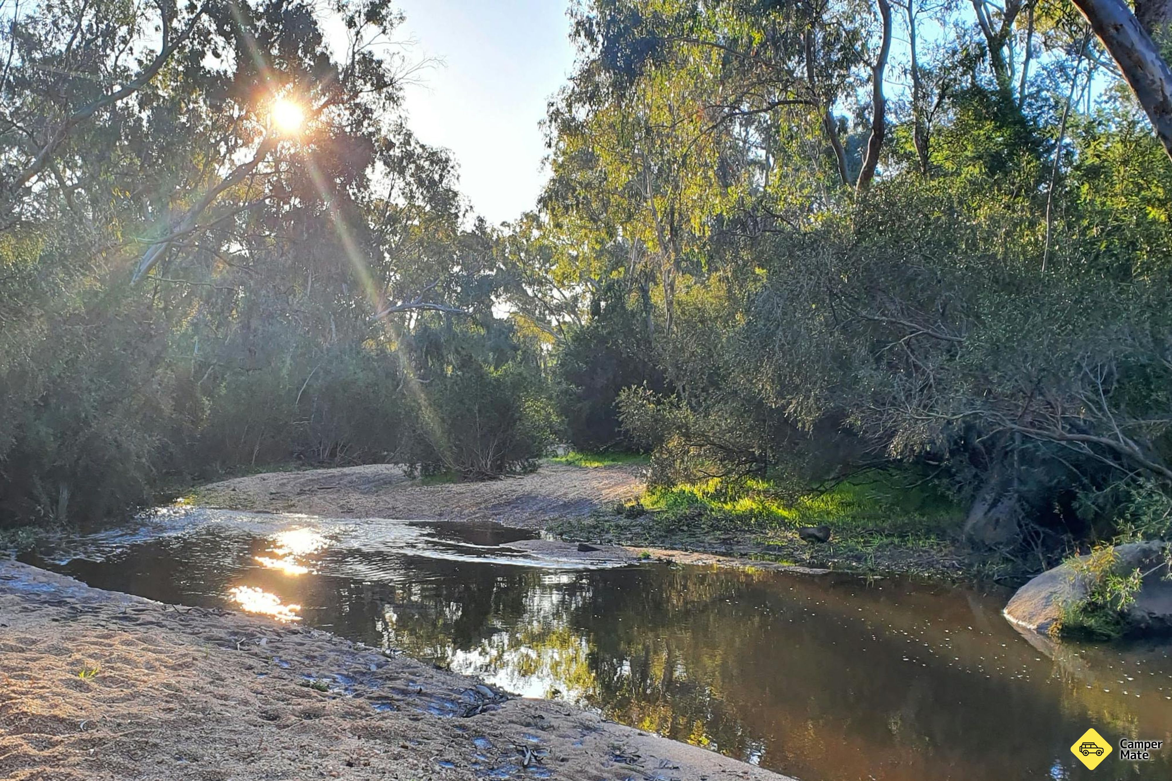 Reedy Creek Campground