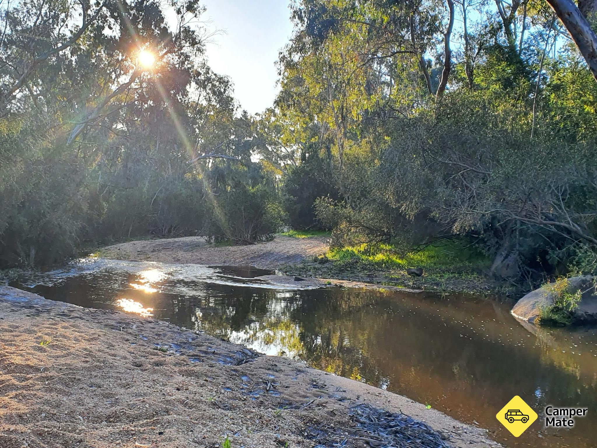Reedy Creek Campground 