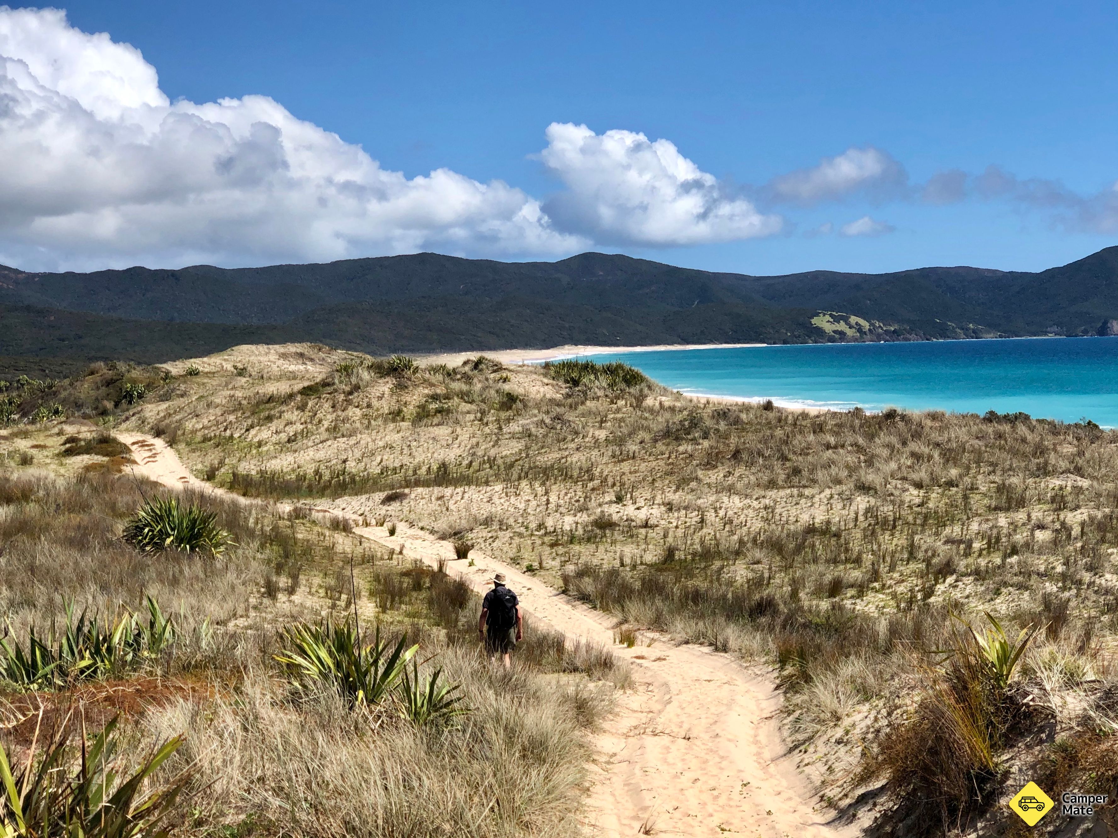 Aktivitäten in der Nähe von Kapowairua (Spirits Bay) - Image 3
