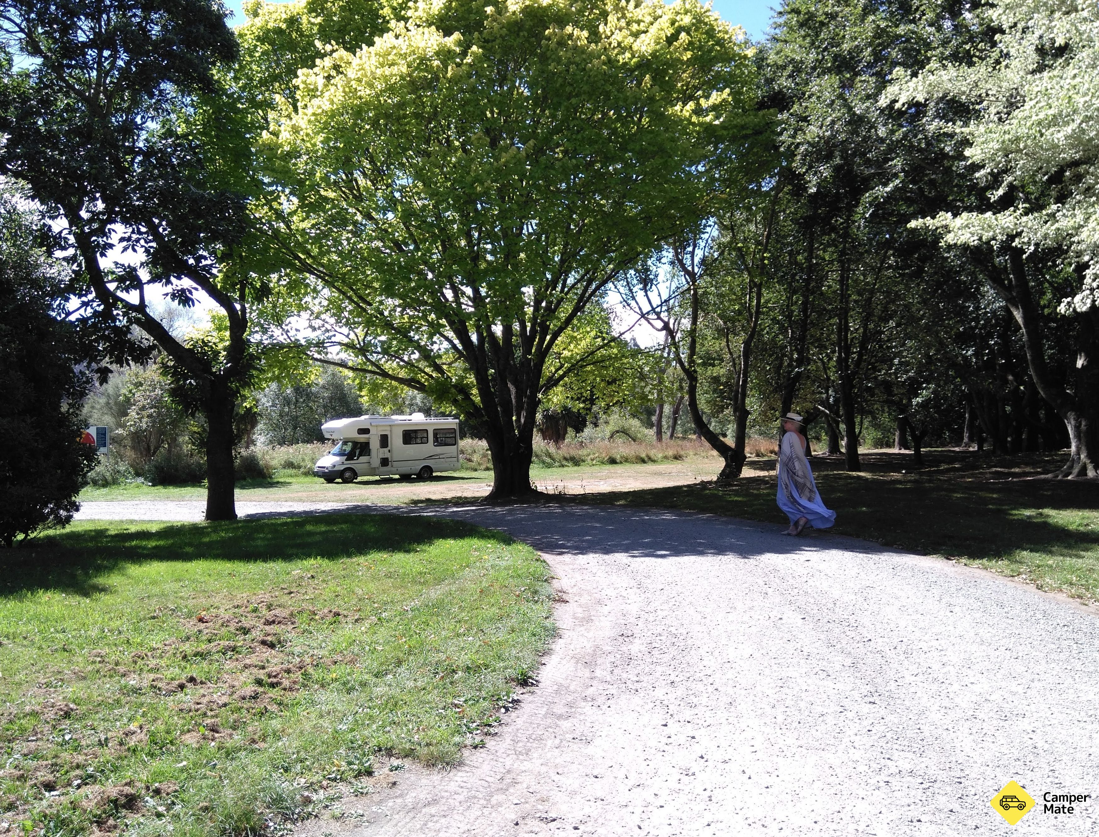 Whitecliffs Domain - CLOSED - Image 2