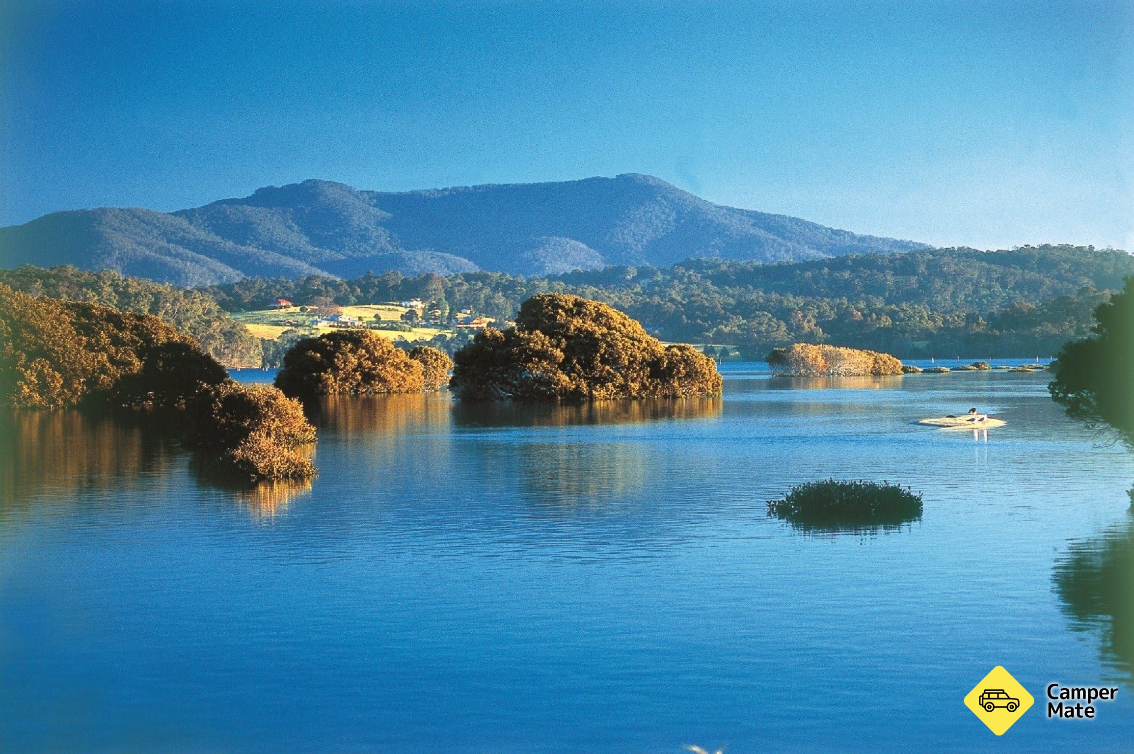 Wagonga Beach and Walks
