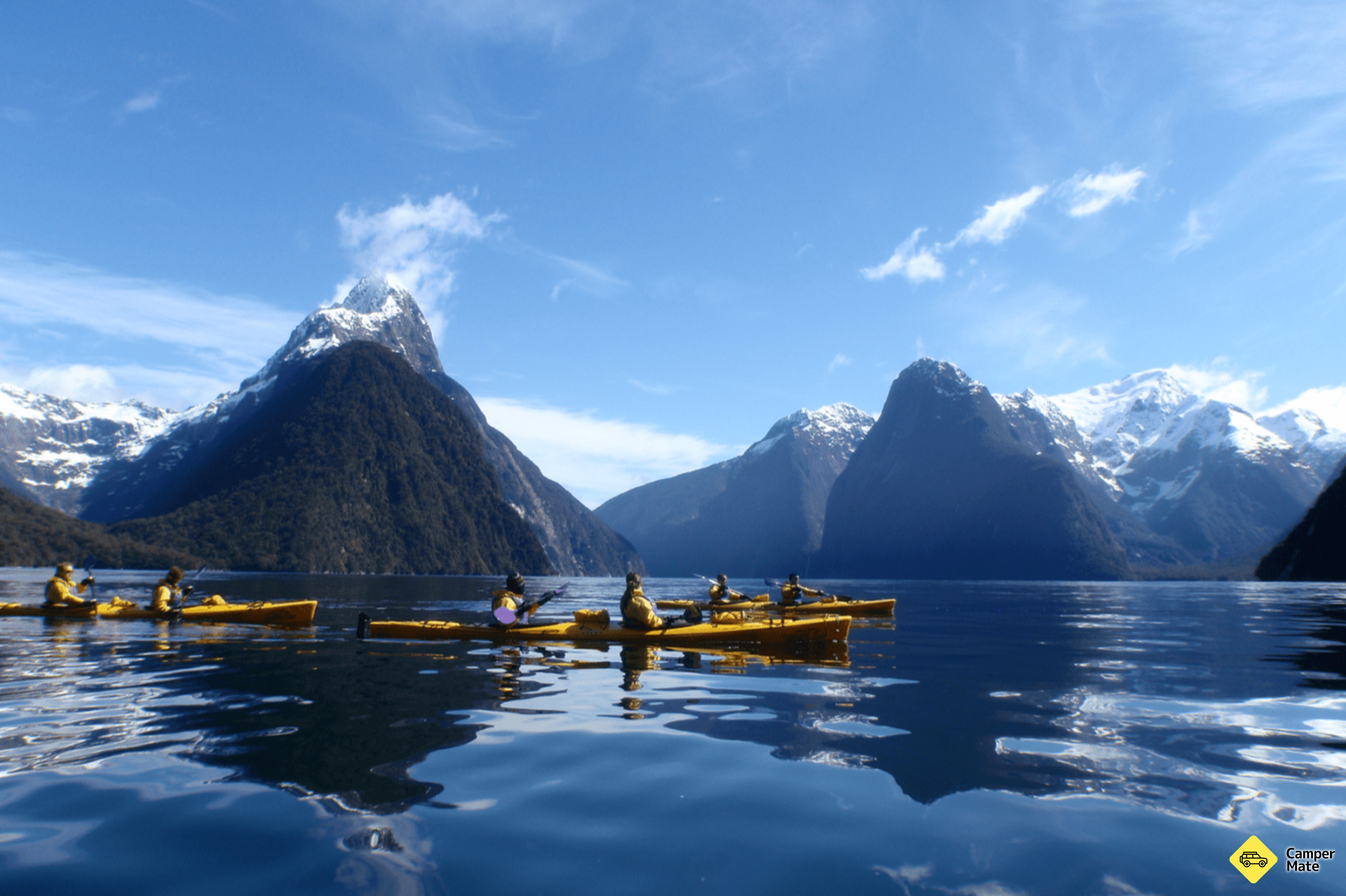 Roscoe's Famous Milford Sound Kayak Tour - Image 3