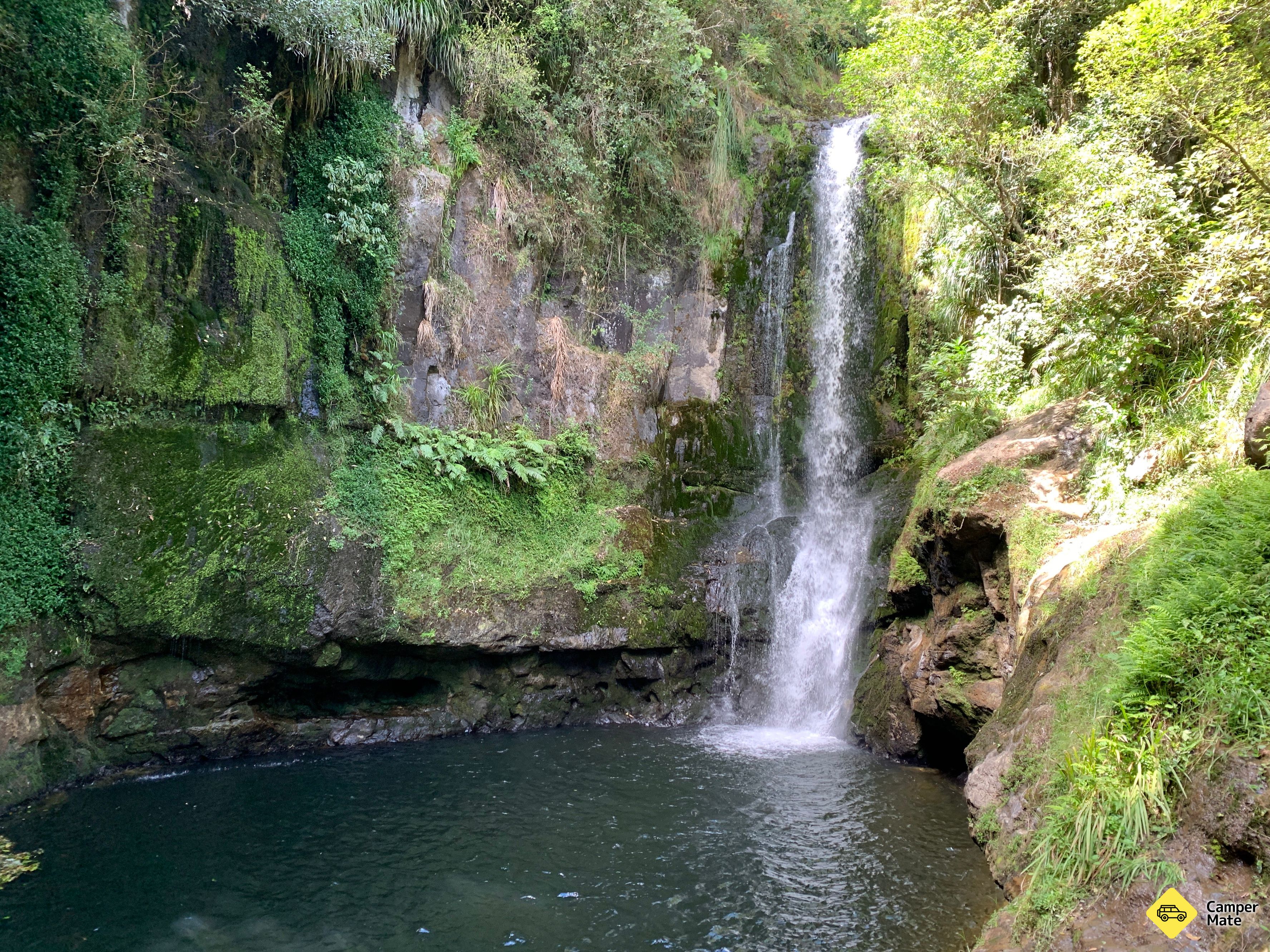 Rerekawau Falls Track - Image 3