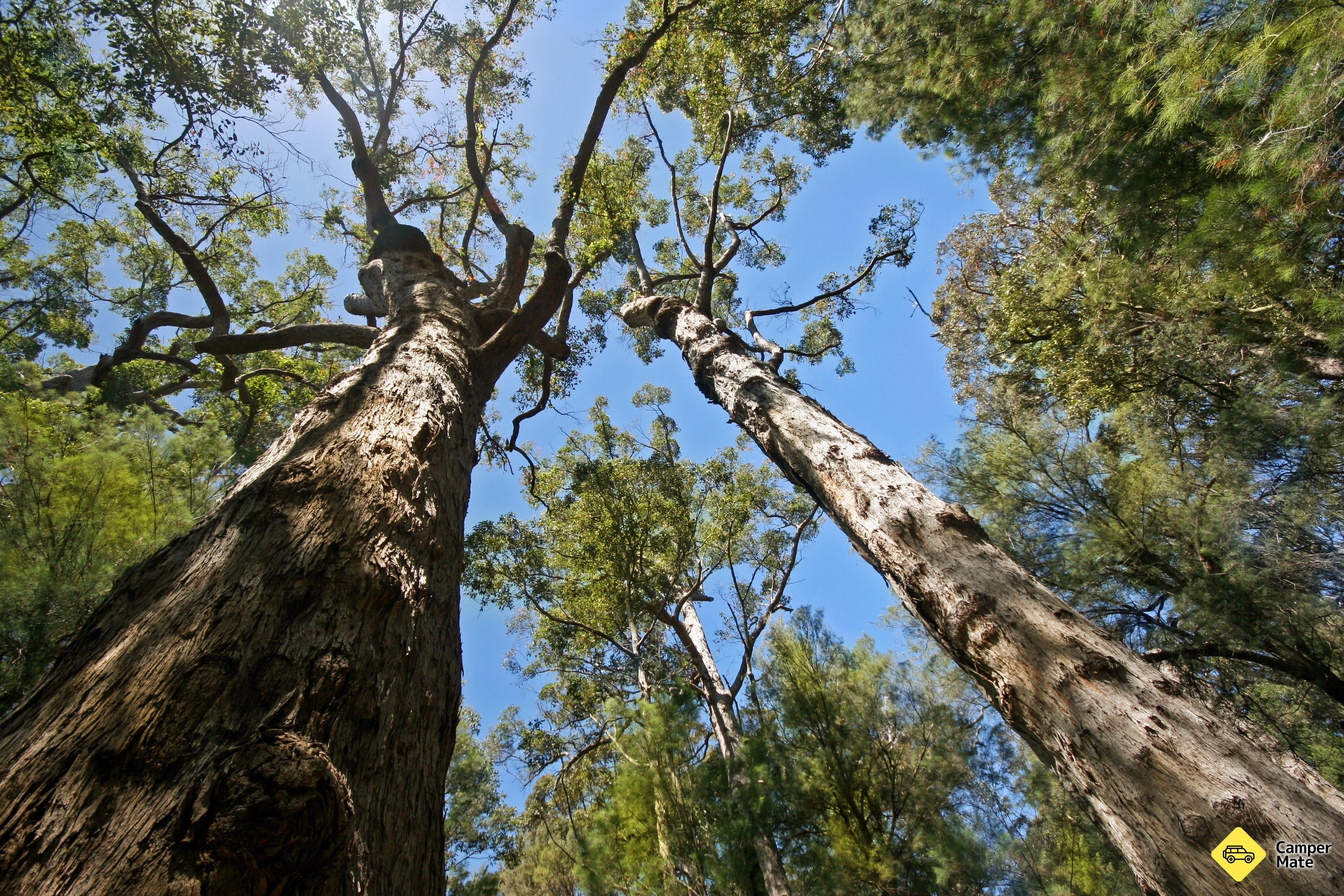 Western Australian Museum Albany - Image 2