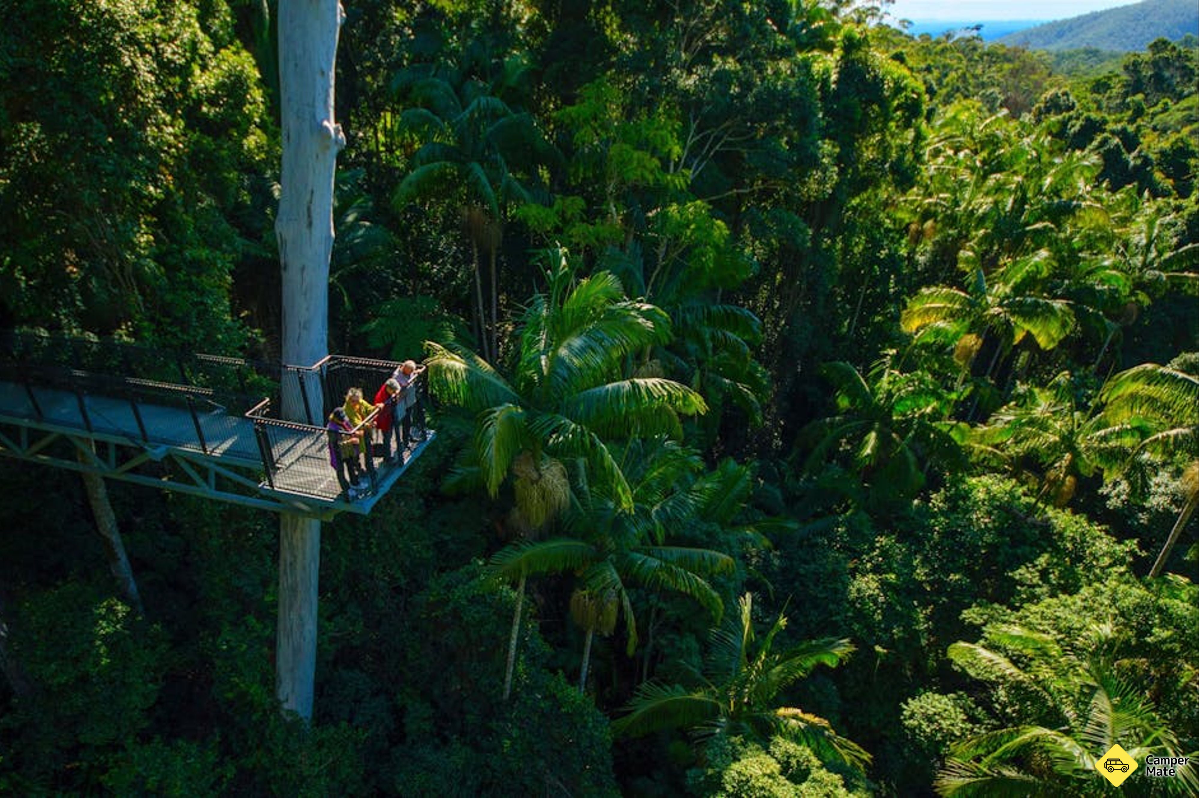 Restauranger i närheten av Tamborine Rainforest Skywalk - Image 3