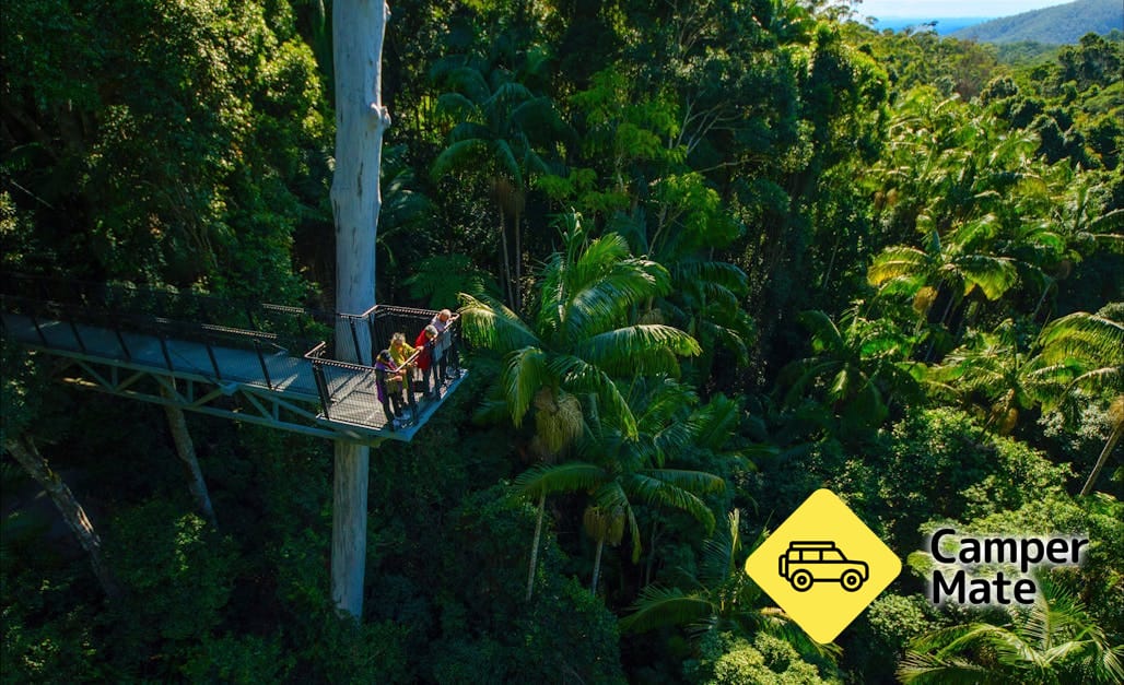 Tamborine Rainforest Skywalk - Image 3
