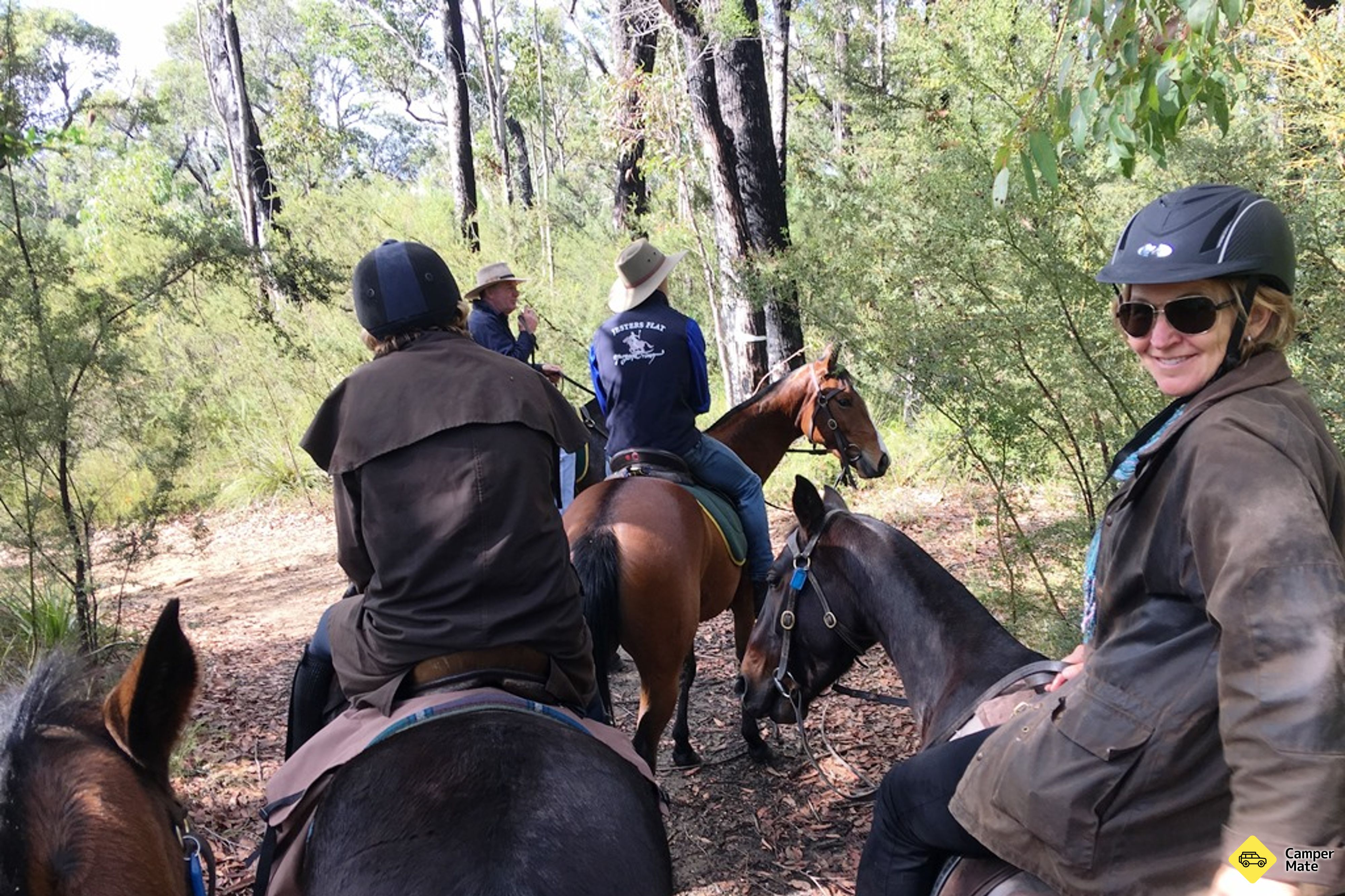Отзывы о Jesters Flat Horse Rising Country Lane - Image 3