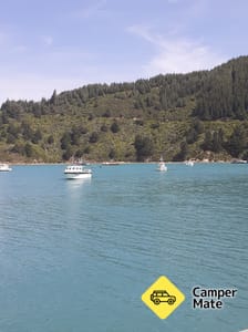 Aktivitäten in der Nähe von Port Underwood Scenic Lookout