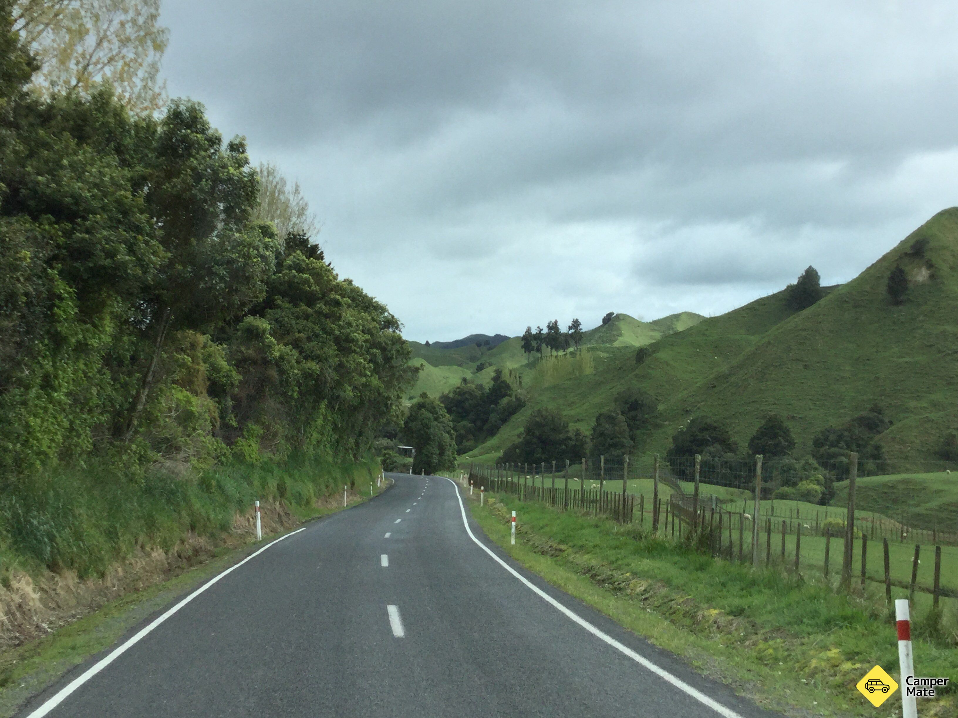 「Forgotten World Highway - State Highway 43」 - Image 3