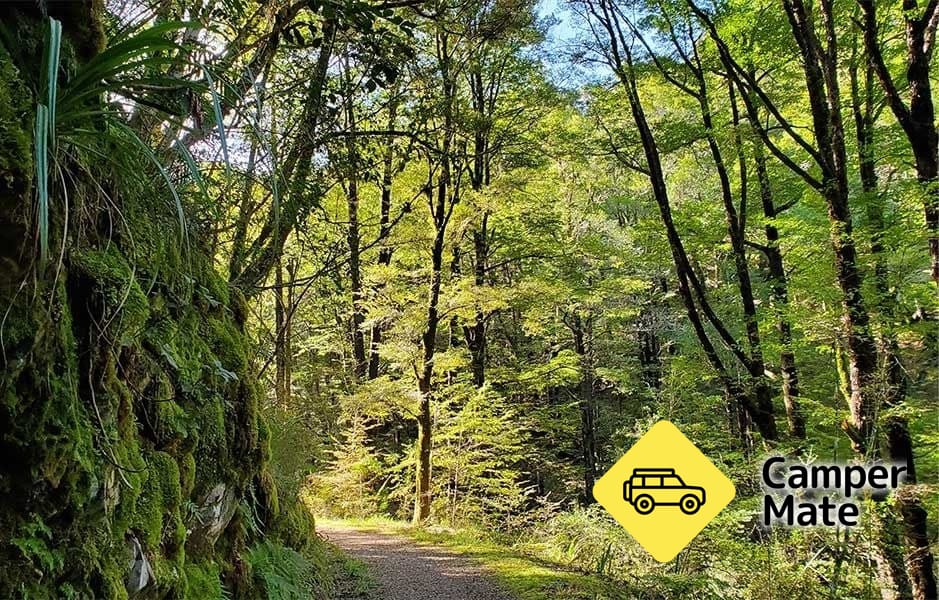 Murray Creek Goldfield Tracks