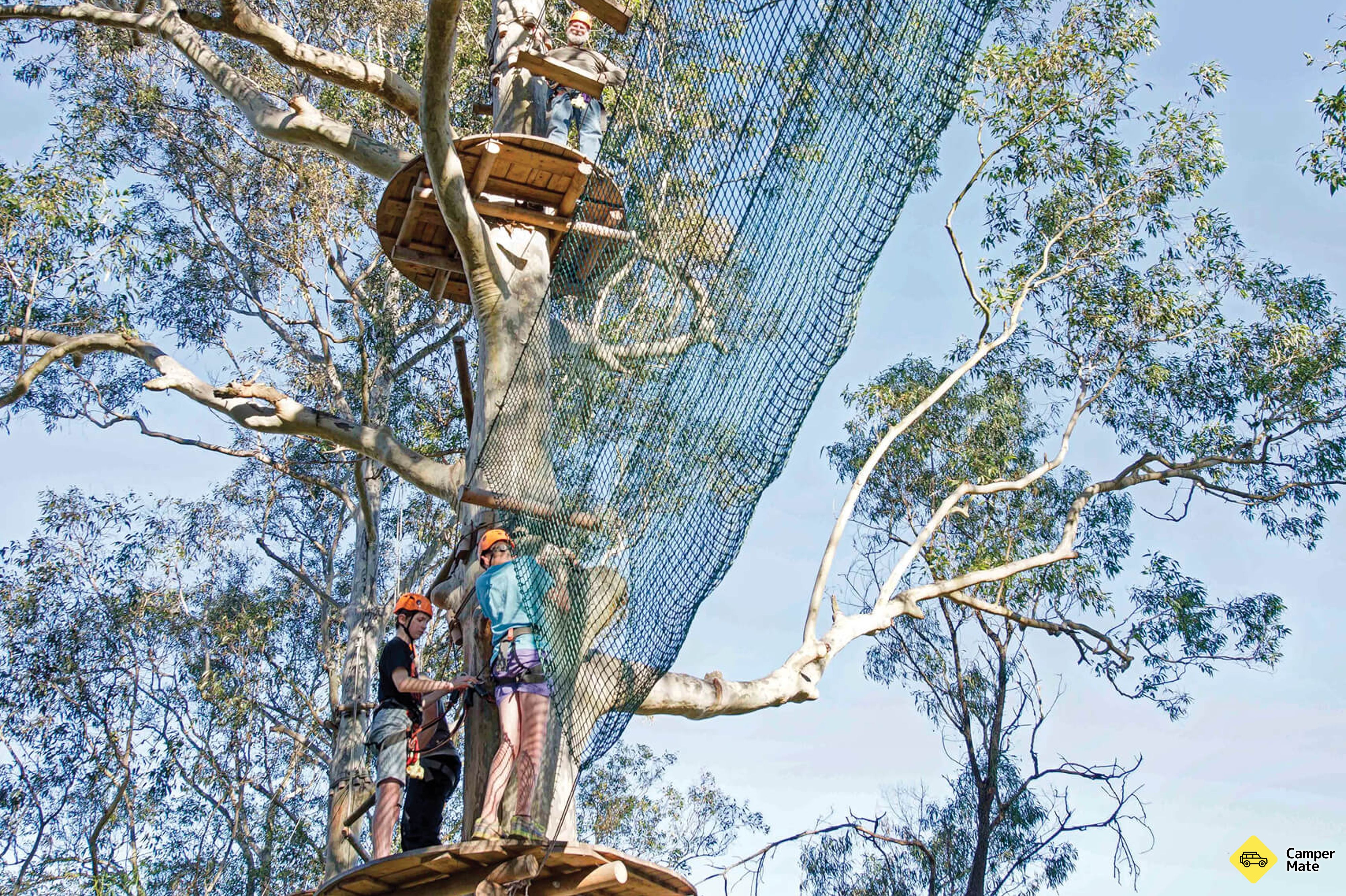 مشاهدة فيلم Treetops Adventure Western Sydney - Image 2