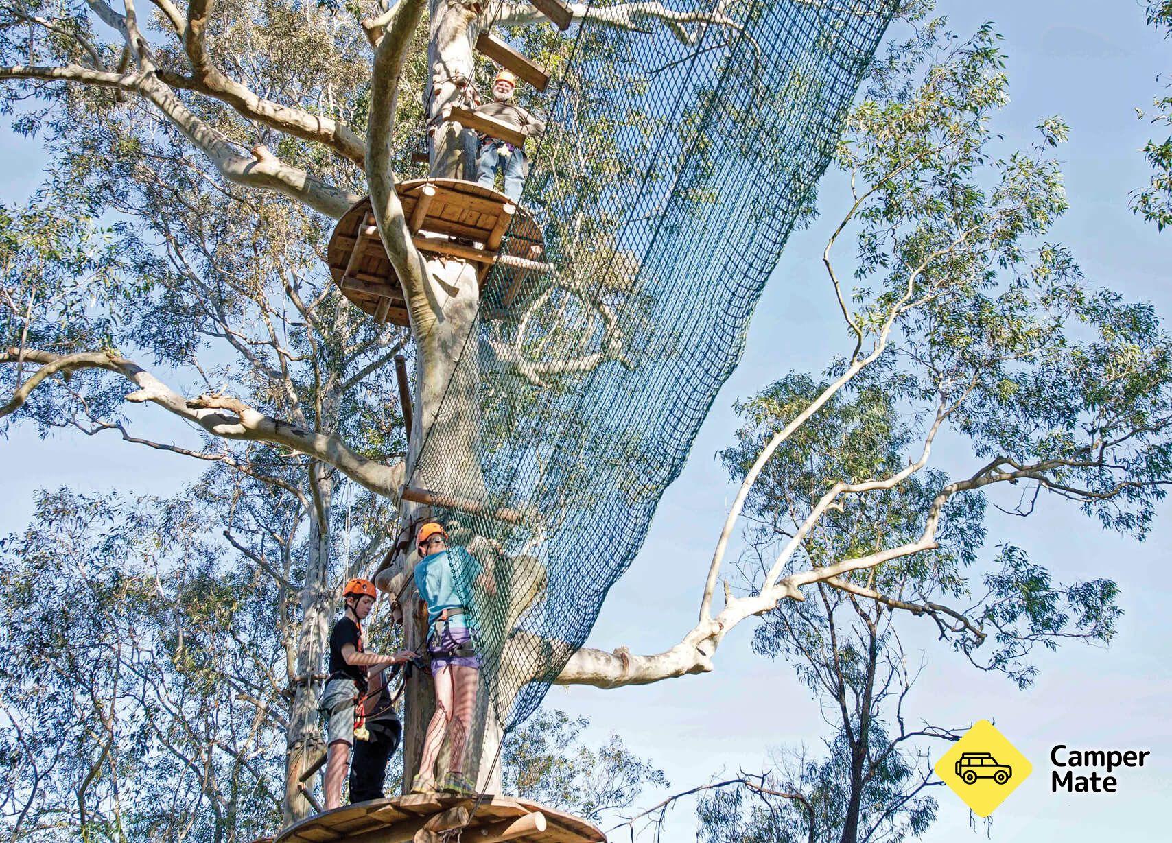 Treetops Adventure Western Sydney - Image 2