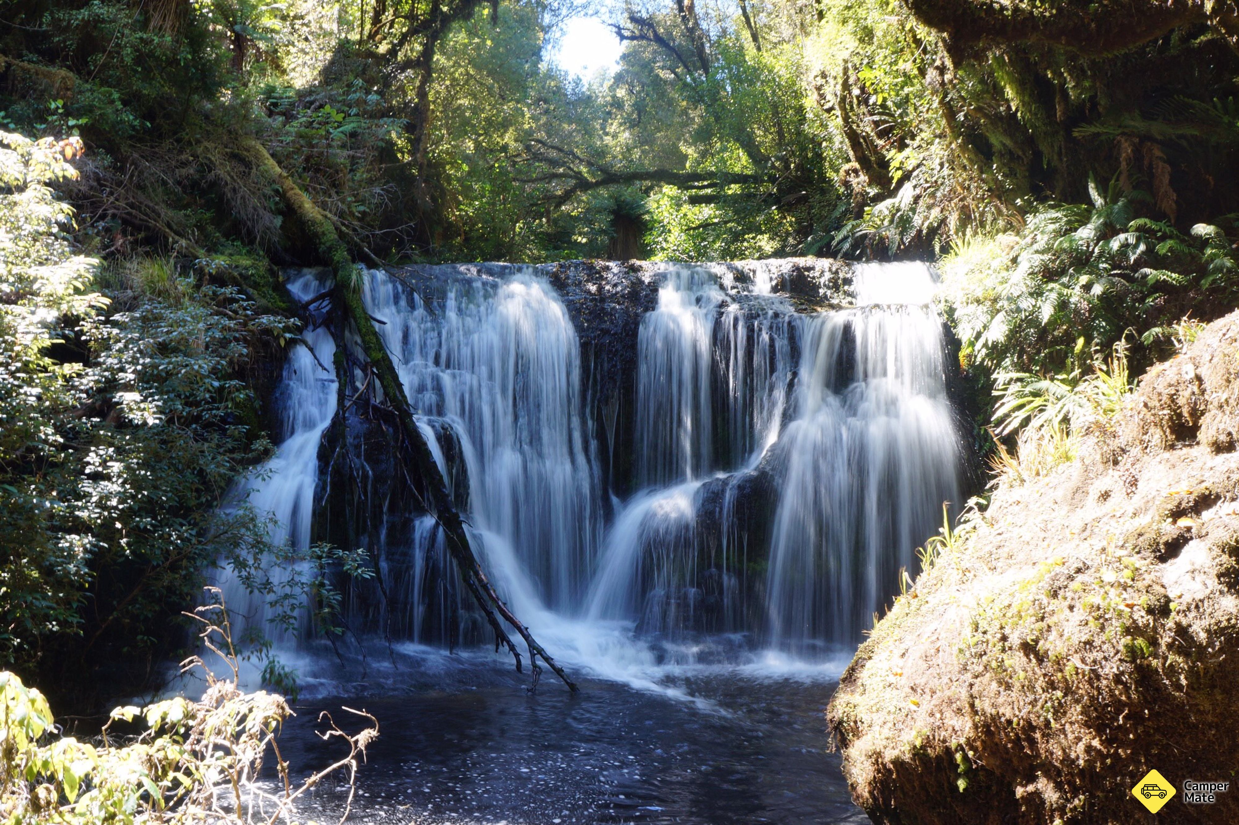Waipohatu Waterfall Track - Image 3