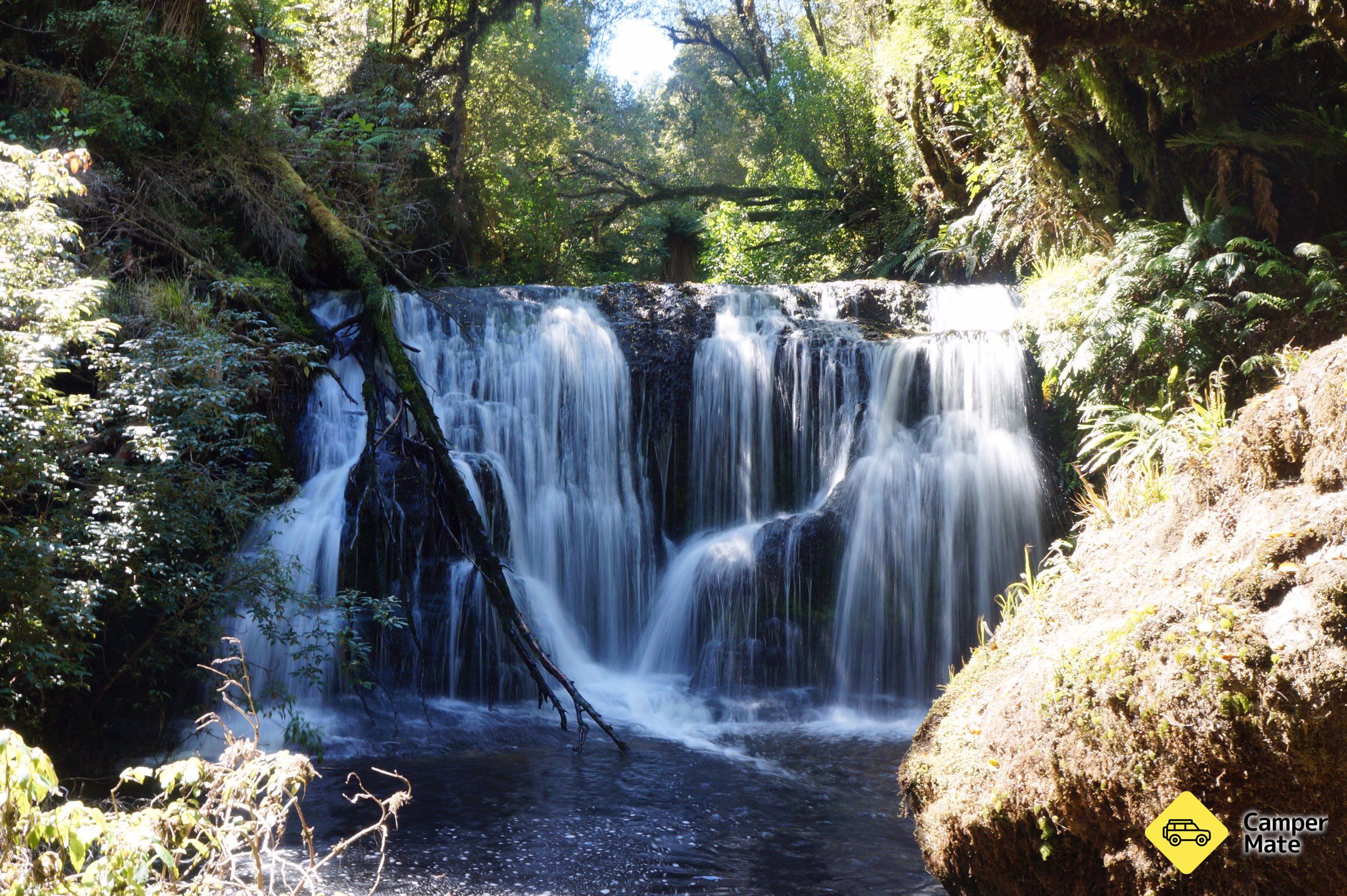 Waipohatu Waterfall Track - Image 3
