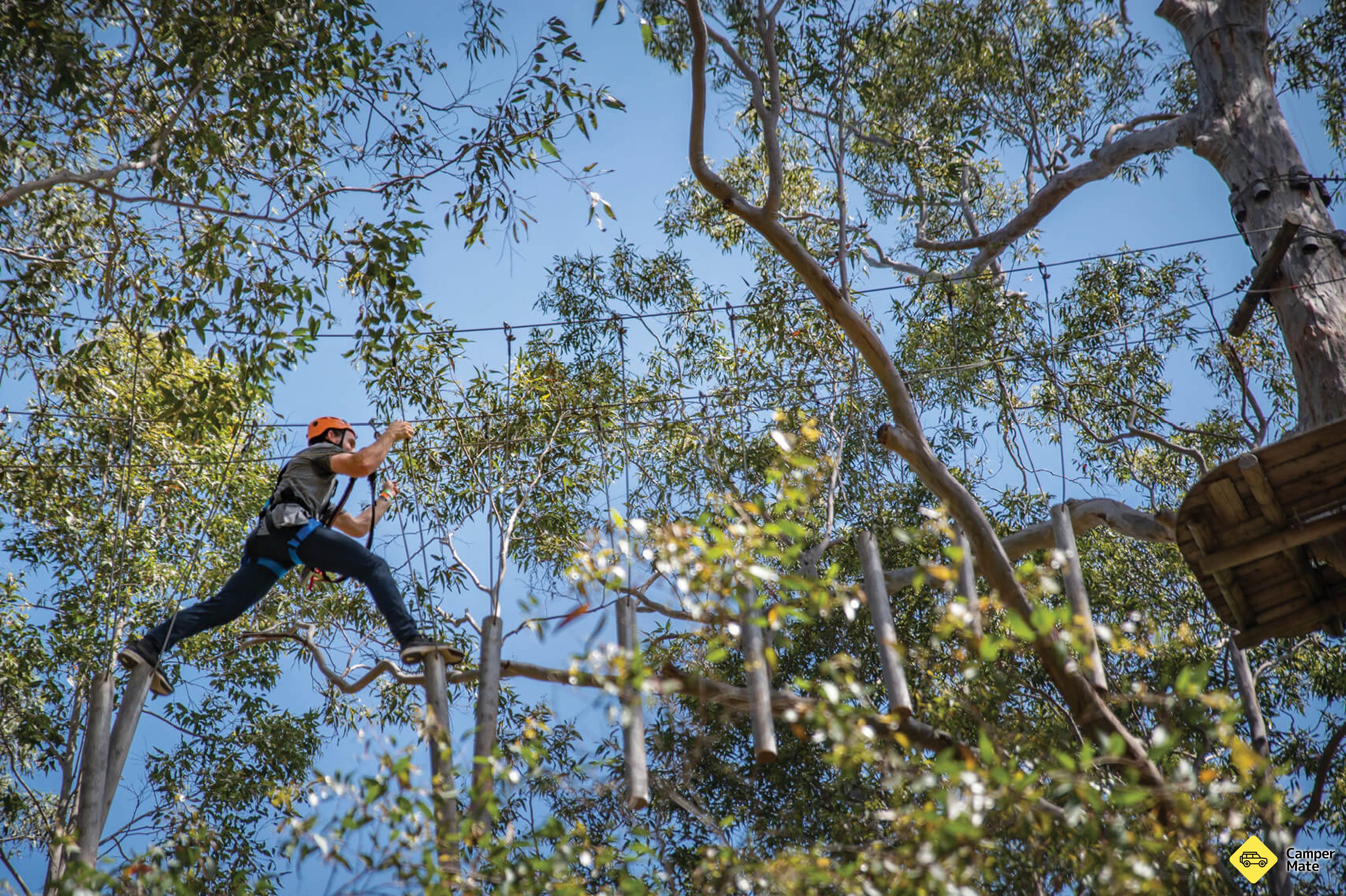 مشاهدة فيلم Treetops Adventure Western Sydney - Image 3