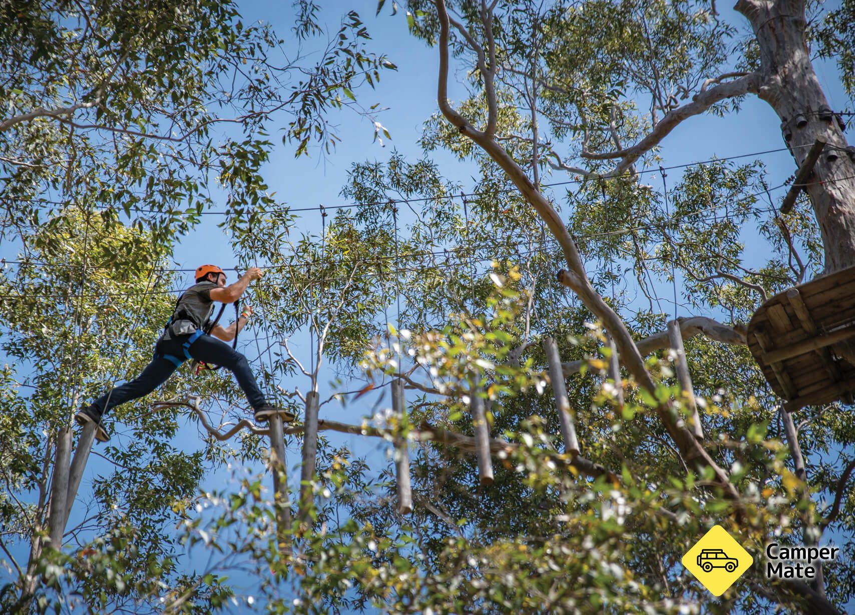 Treetops Adventure Western Sydney - Image 3