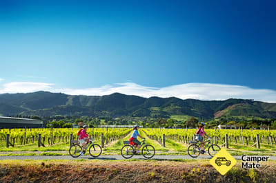 The Great Taste Trail with Wheelie Fantastic Tours