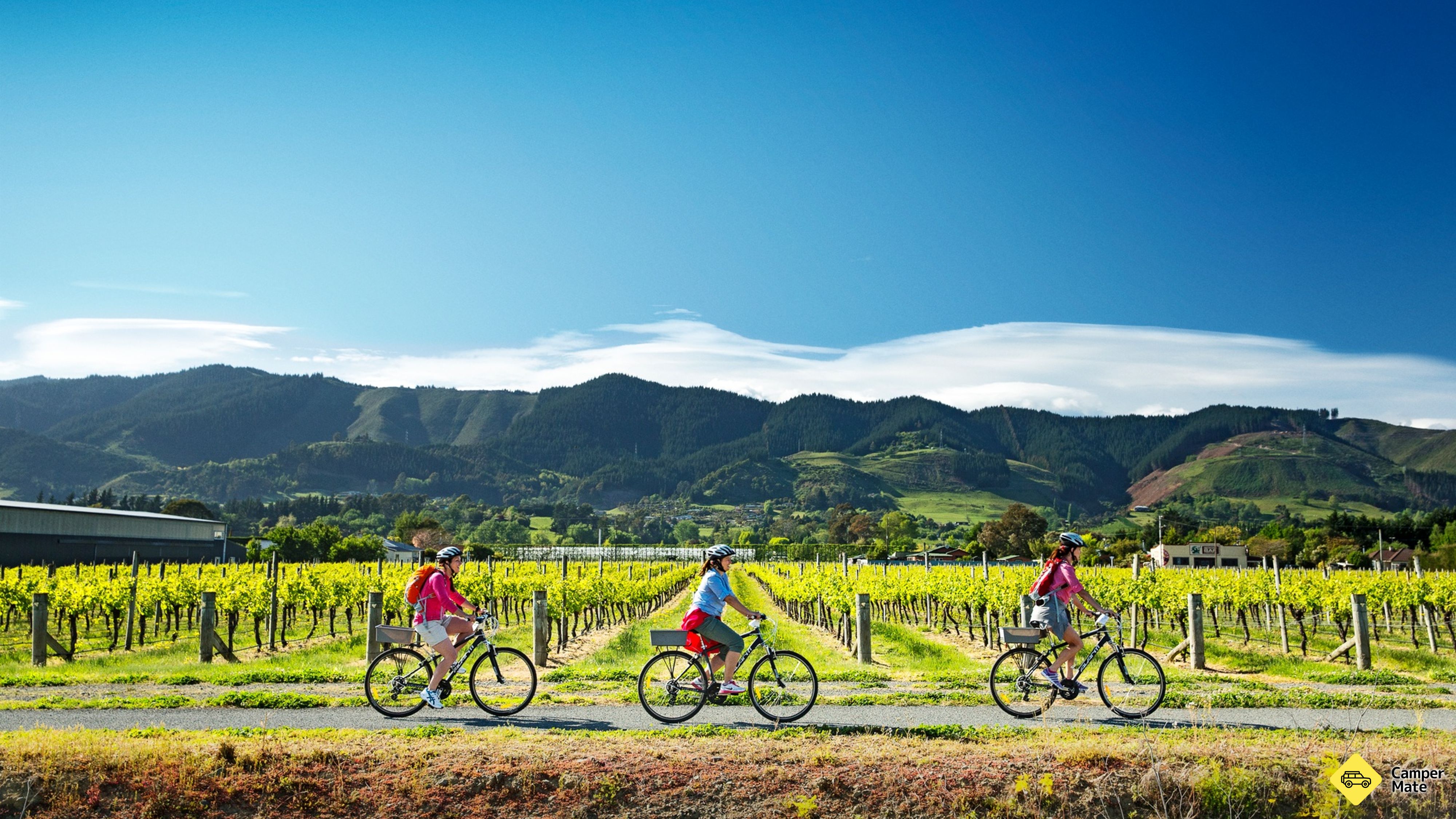 The Great Taste Trail with Wheelie Fantastic Tours
