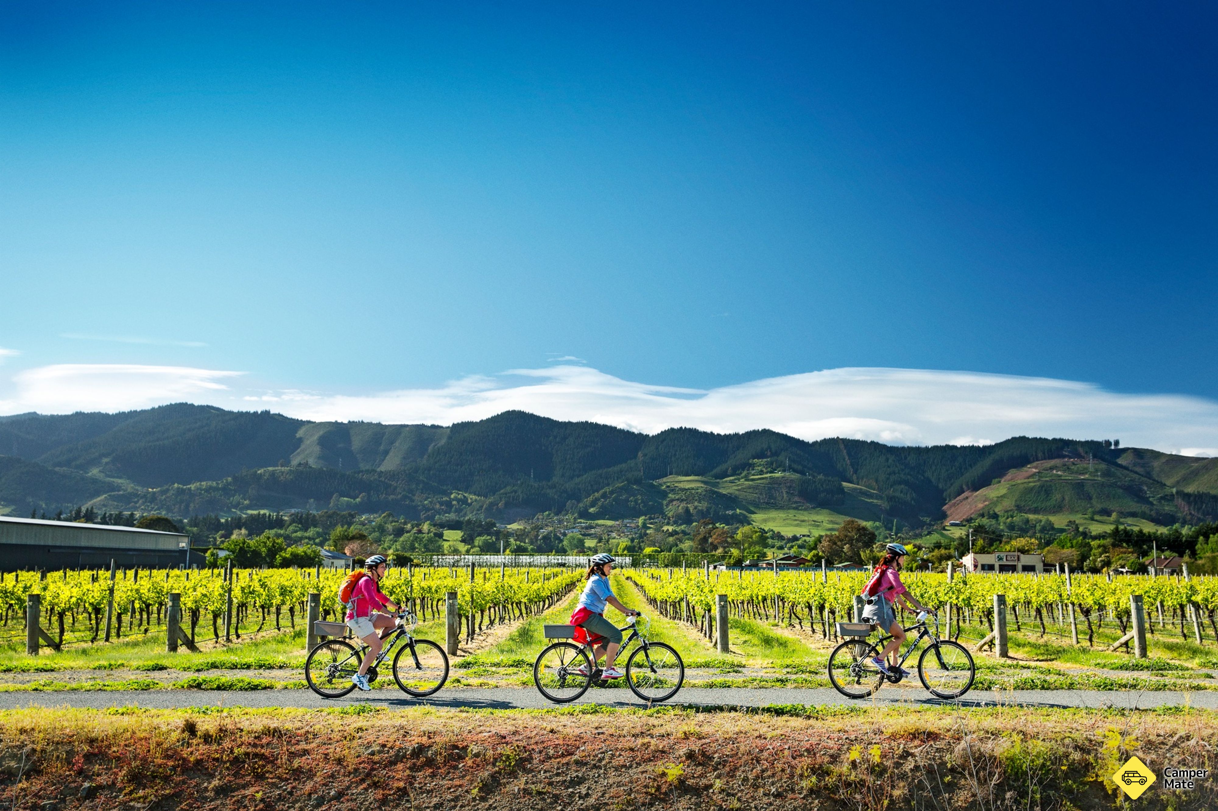 The Great Taste Trail with Wheelie Fantastic Tours