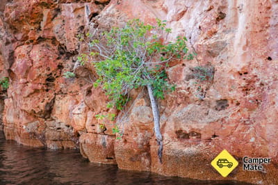 Yardie Creek Boat Tours