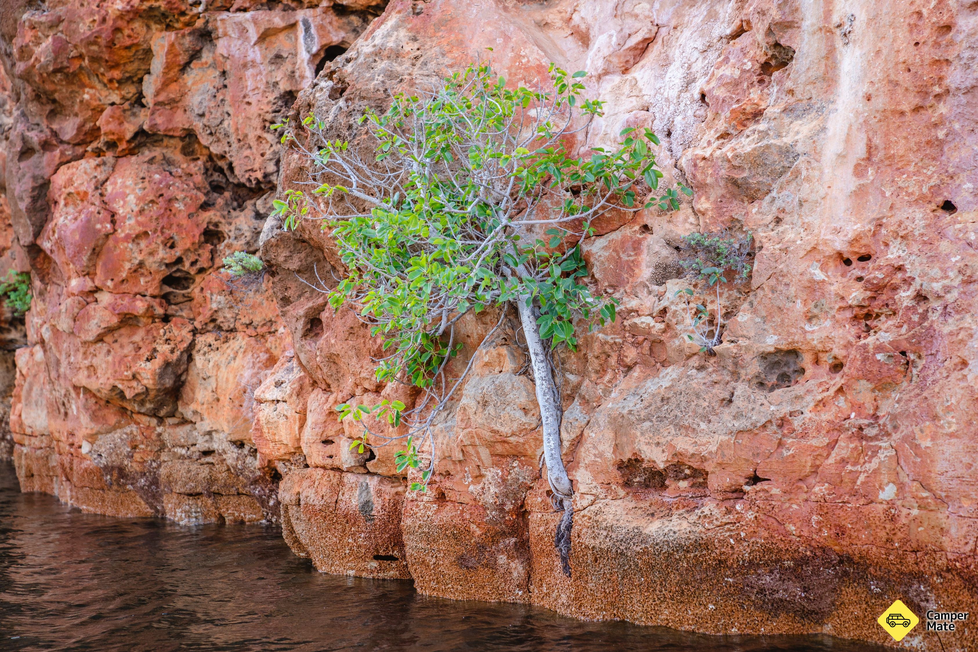 Yardie Creek Boat Tours