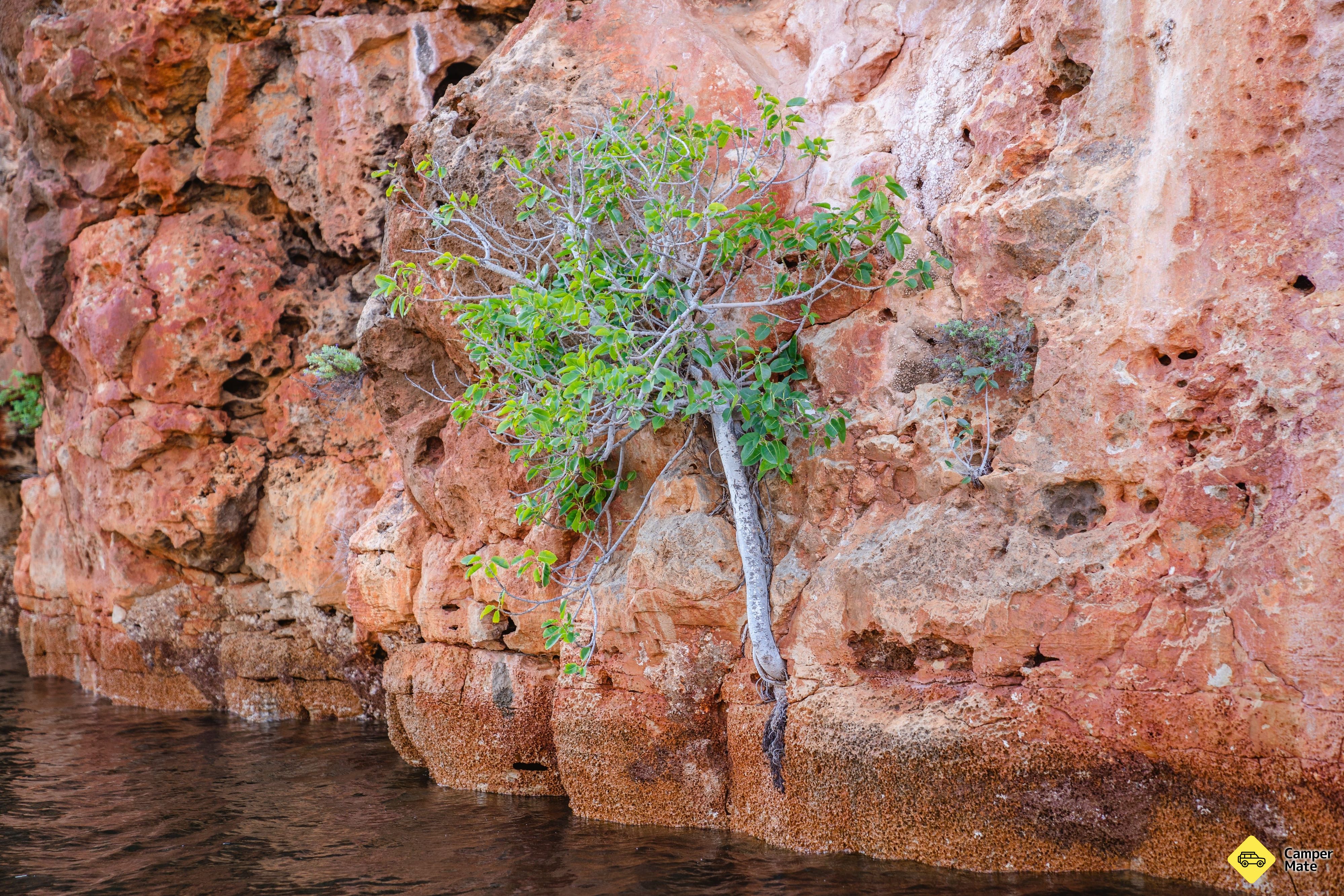 Yardie Creek Boat Tours