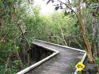 Limeburners Creek Wetlands Walks