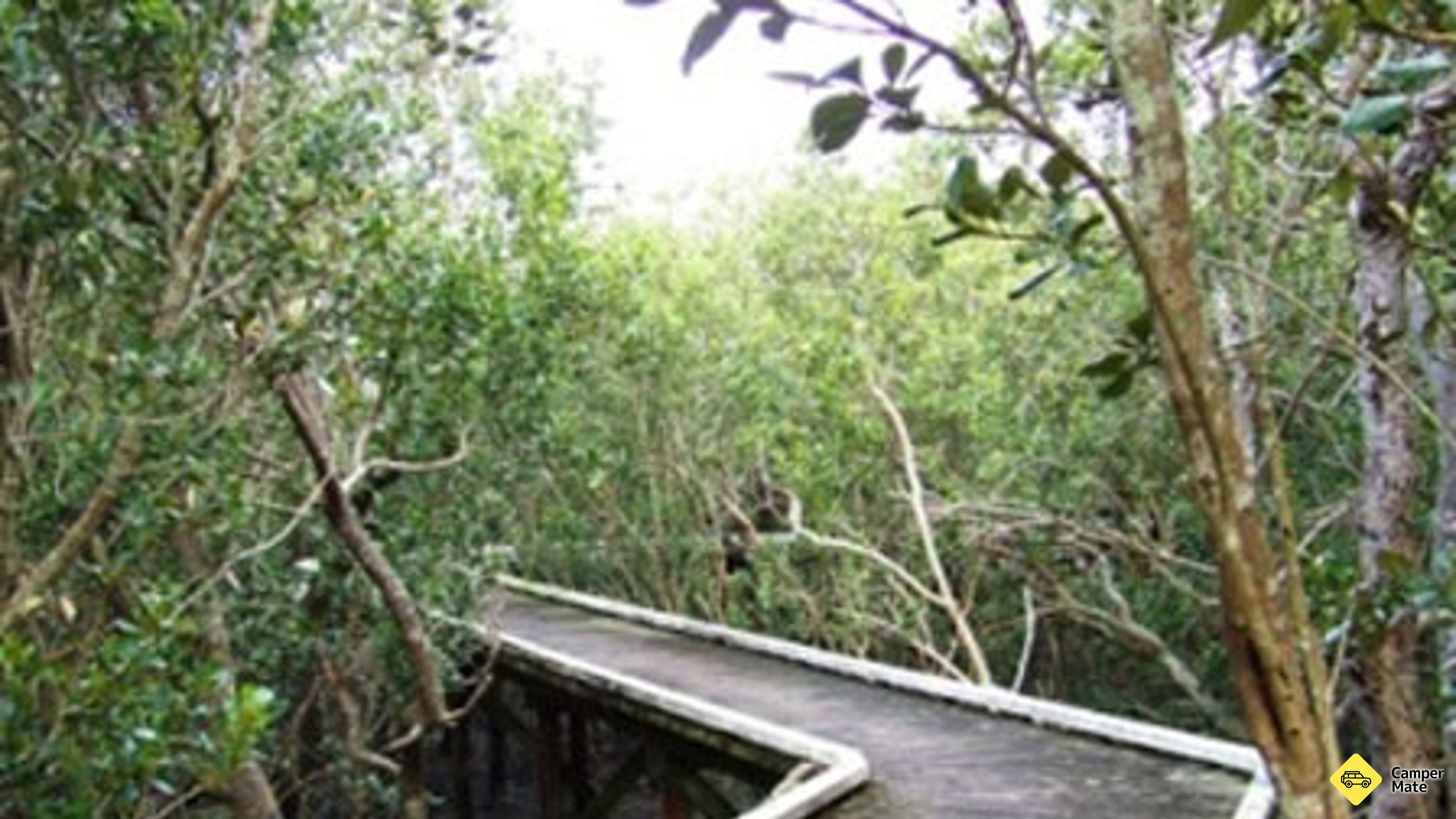Limeburners Creek Wetlands Walks