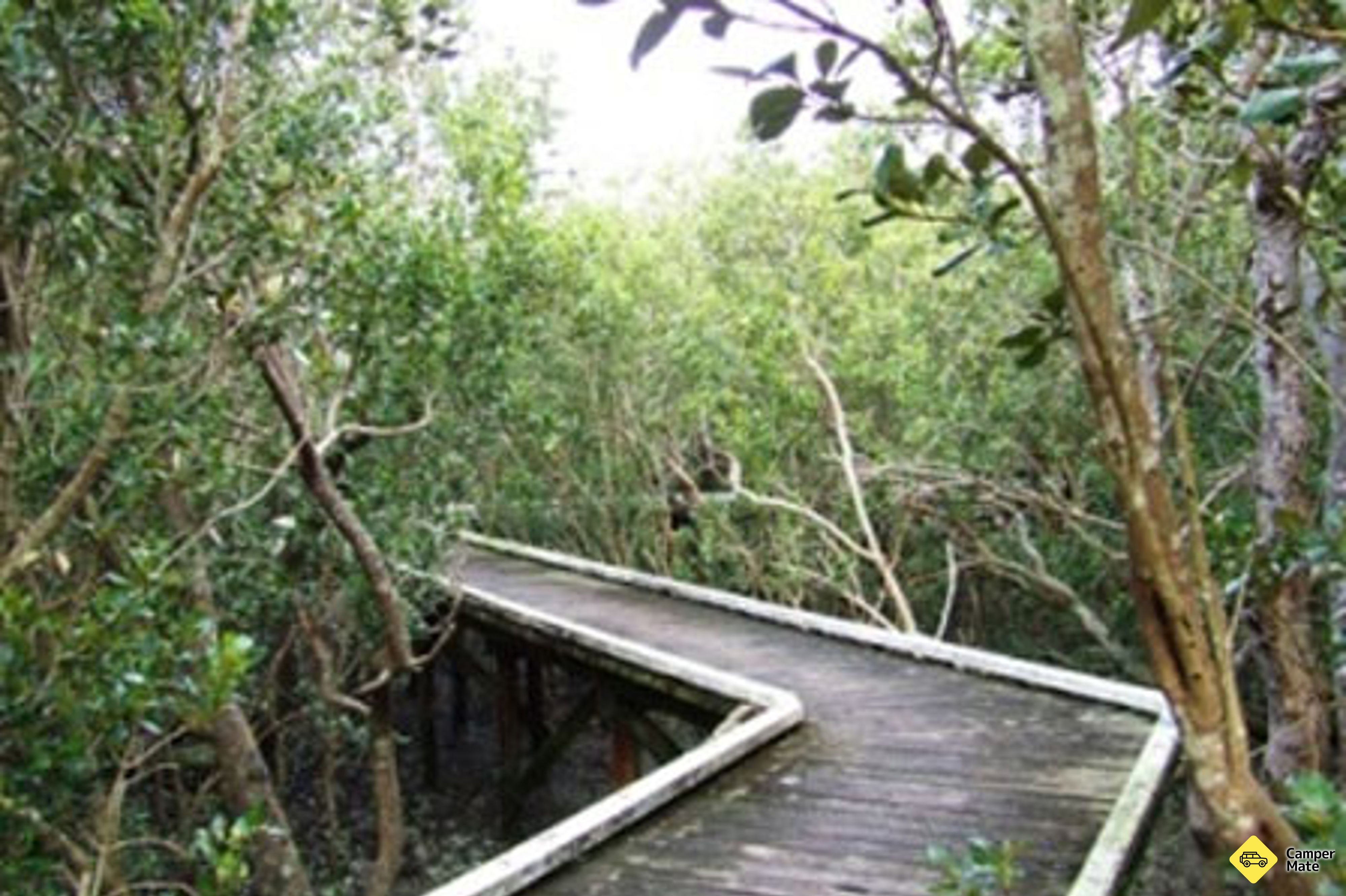 Limeburners Creek Wetlands Walks