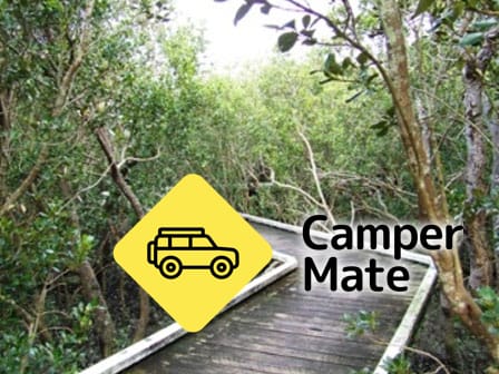 Limeburners Creek Wetlands Walks