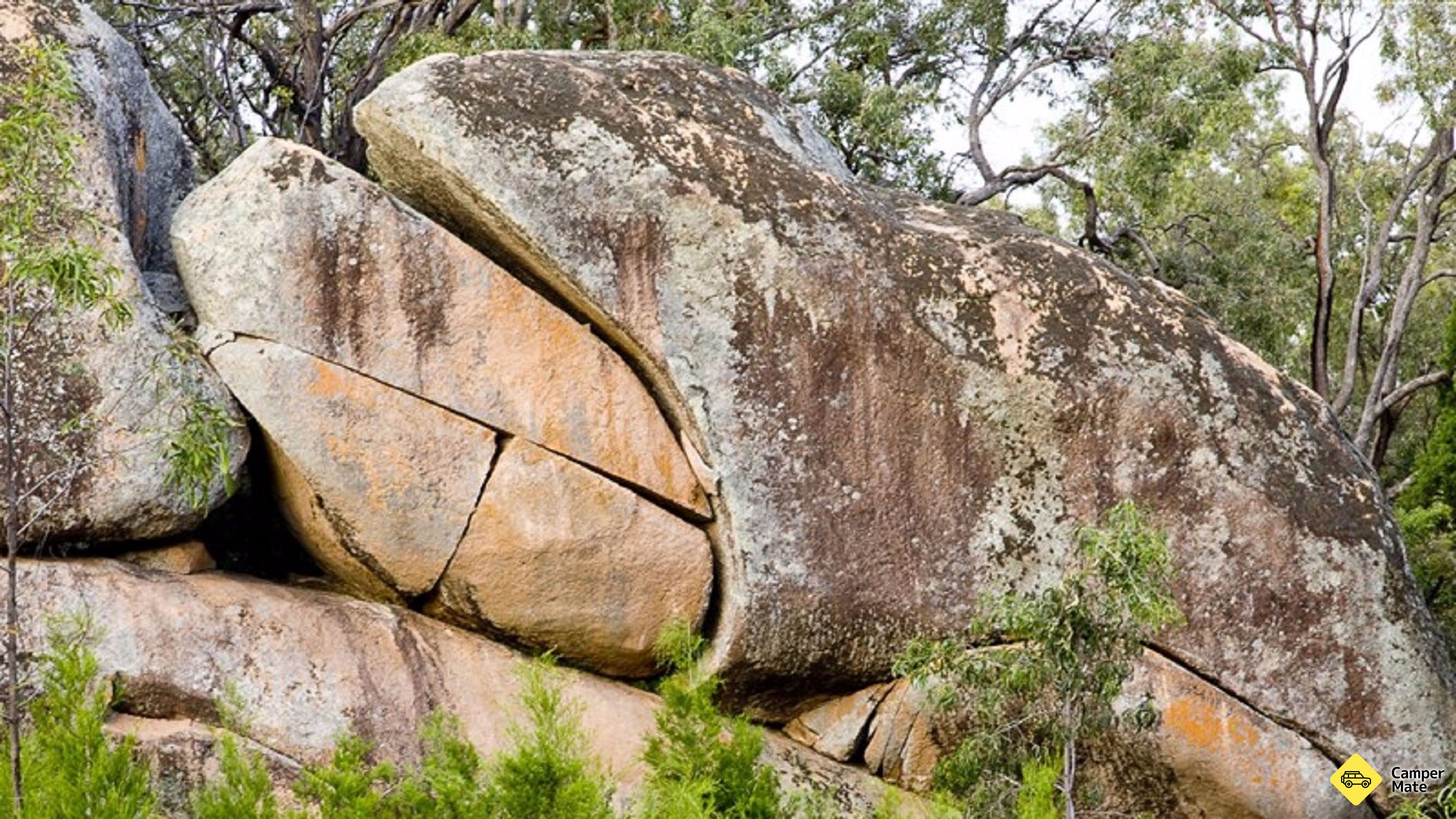 Žabí rock
