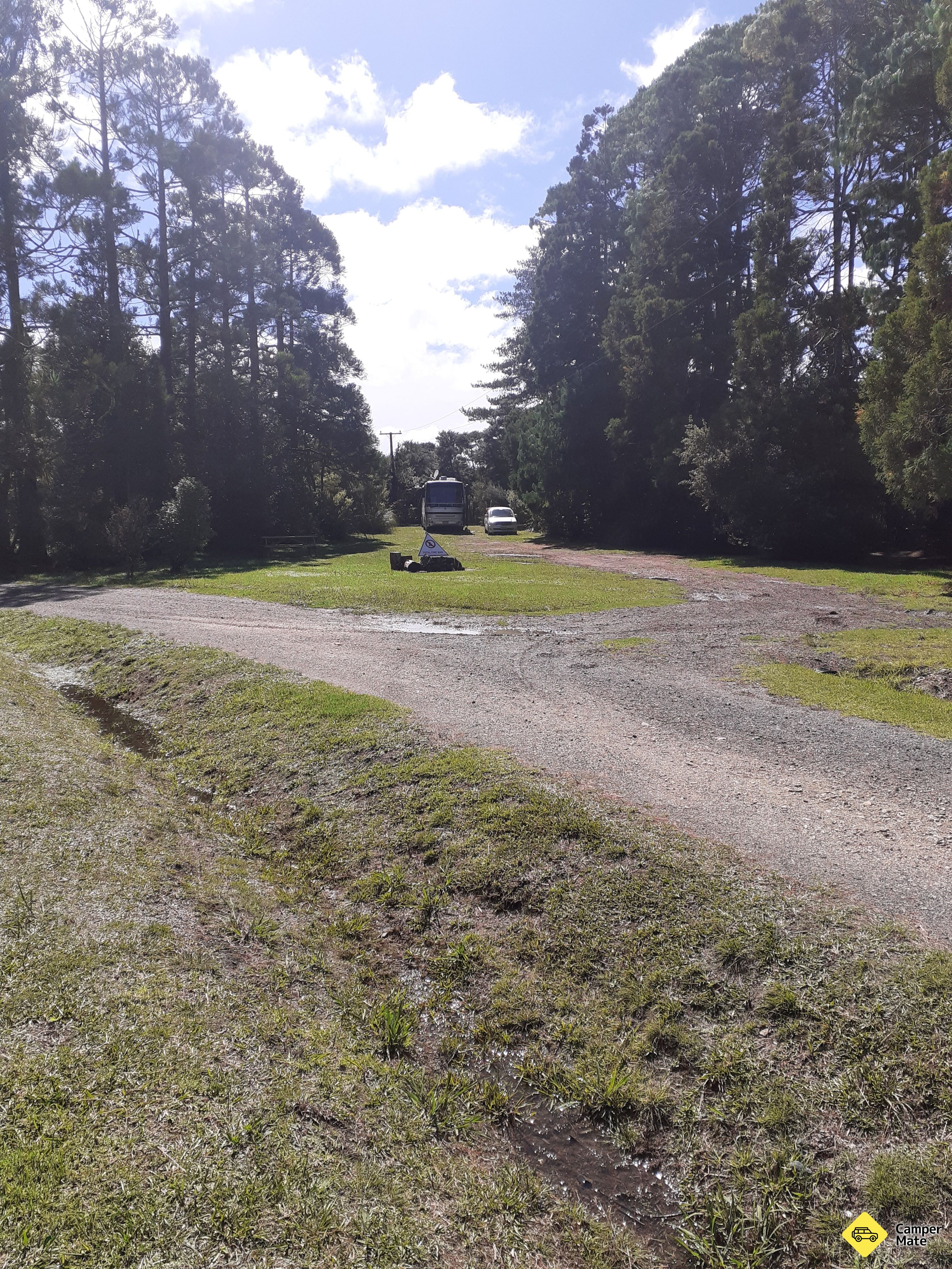 Puketi Recreation Area Campsite - Image 2