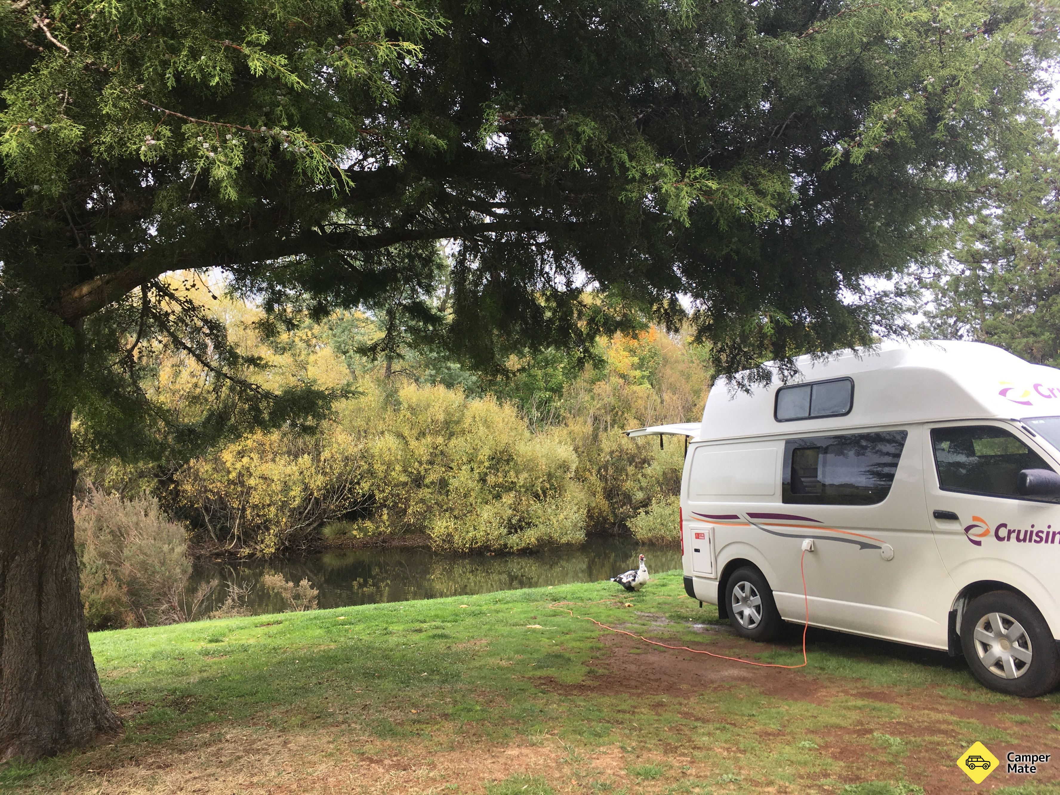 Deloraine Apex Caravan Park - Image 2