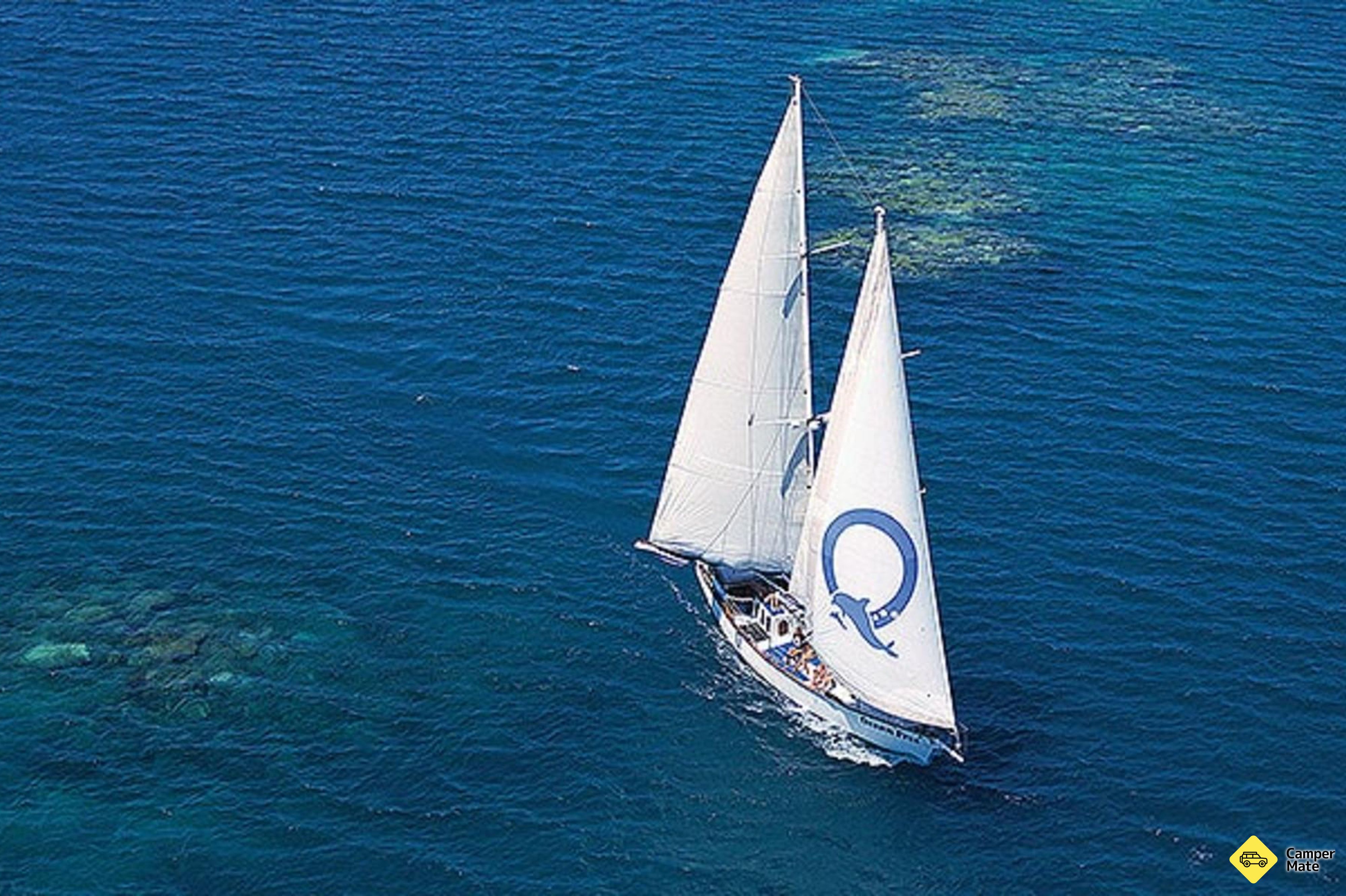 Δραστηριότητες κοντά σε: Great Barrier Reef and Green Island - Image 2
