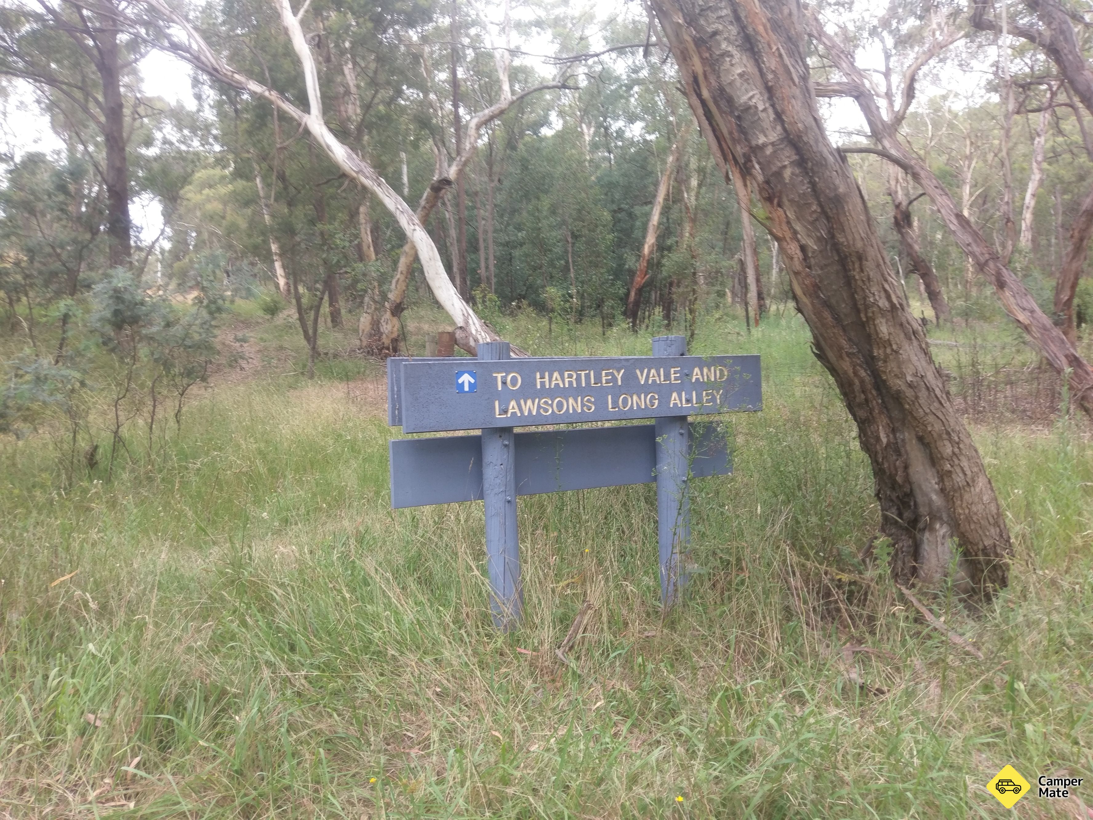 Lockyers Head Track campground - Image 3
