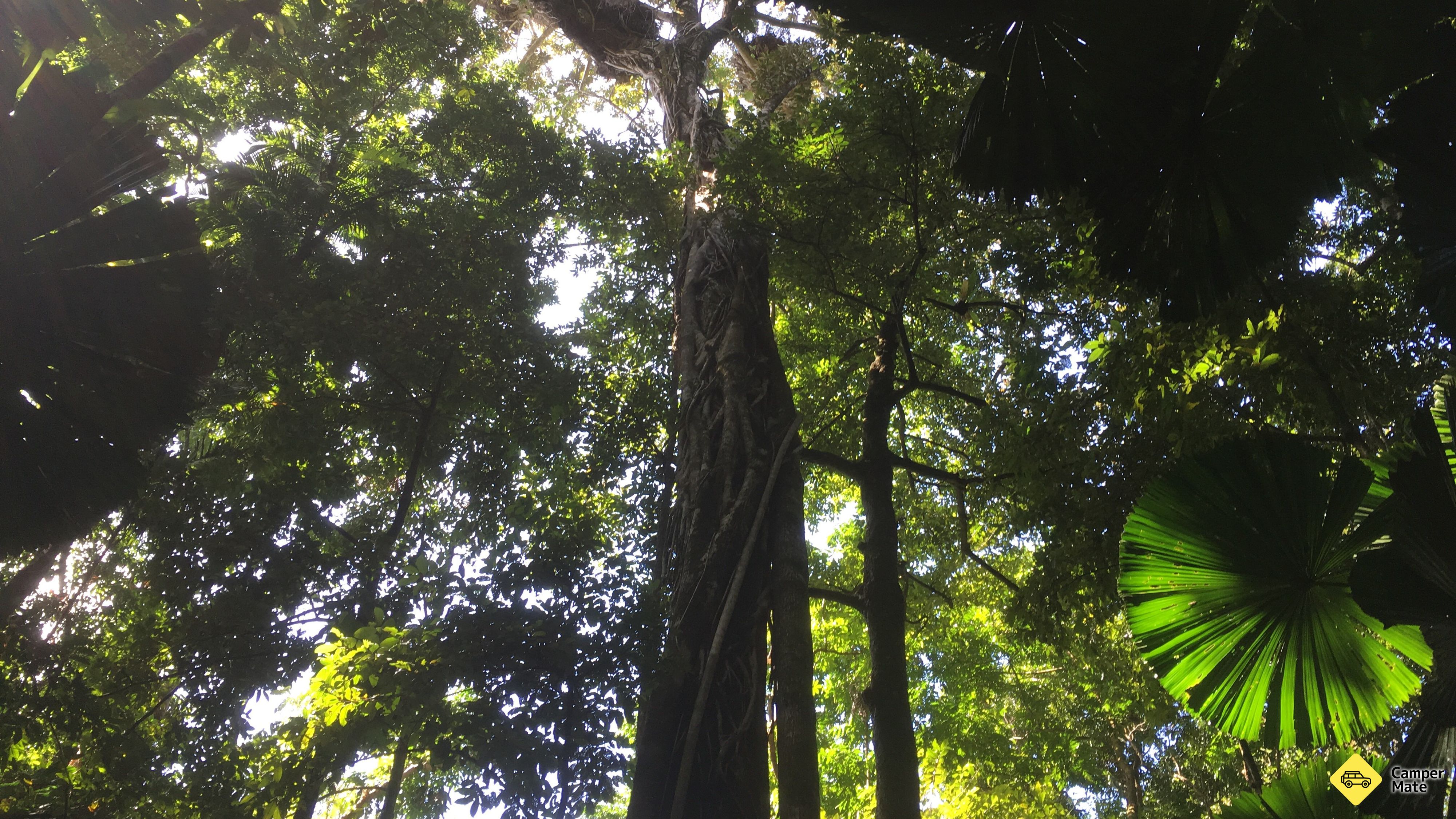 マウント・ソロウ・リッジ(Mount Sorrow Ridge Trail)