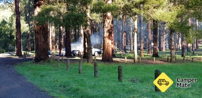 Le camping de Dandos
